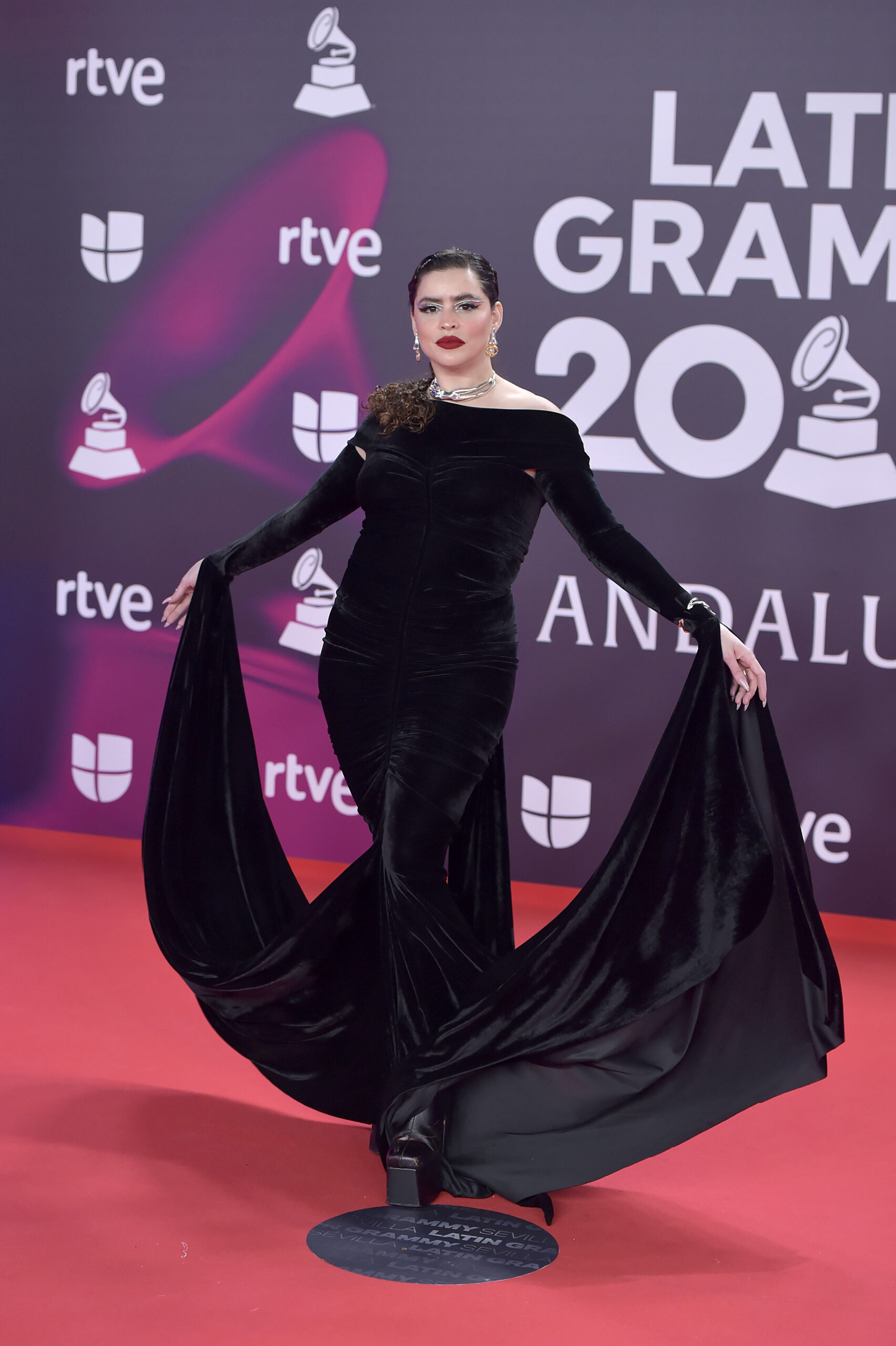 24th Annual Latin GRAMMY Awards - Arrivals