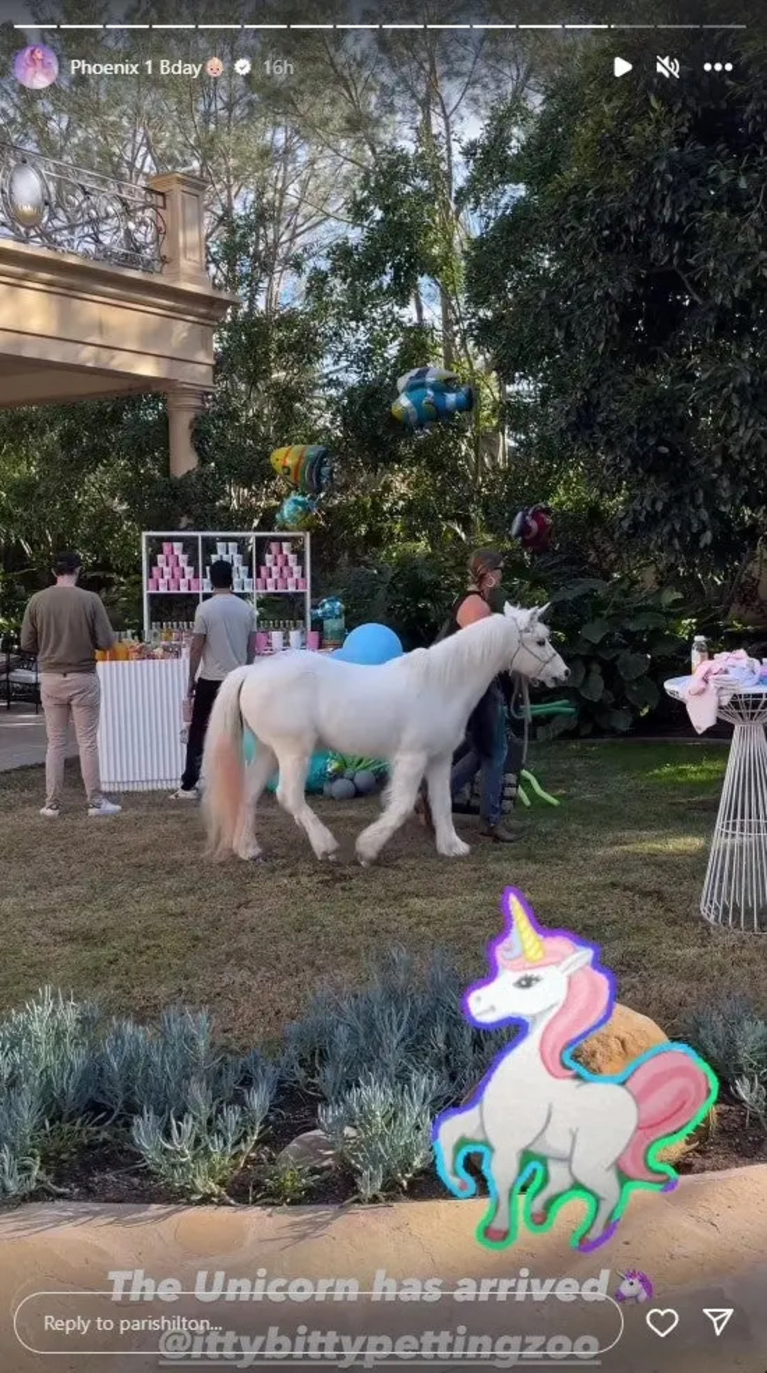 Paris_Hilton-unicorn.jpg