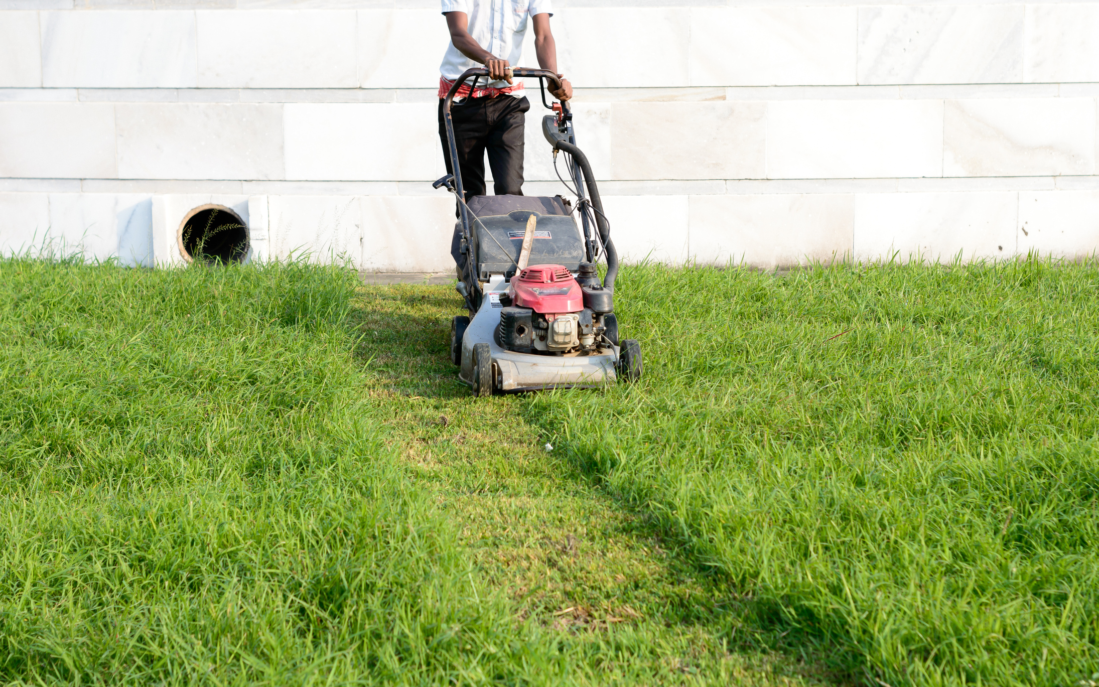 An Electric Rotary lawn mower machine (also named as mower, grass cutter or lawnmower) for Mower, Cutting lawn areas. Heavy duty Motor powered lawn mower in use in  gardens parks for mowing of lawns to cut a grass surface to an even height.