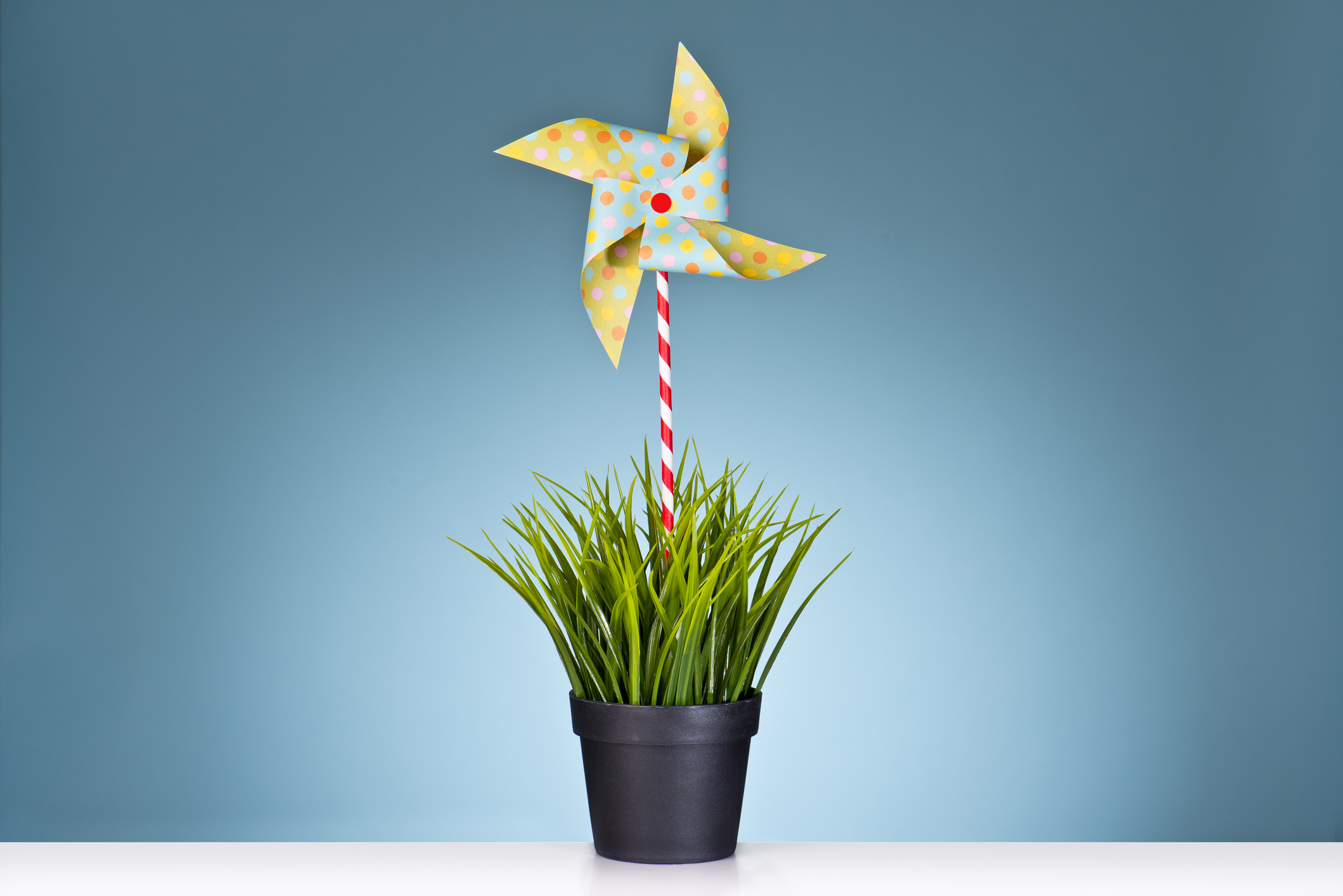 Grass Pot With Pinwheel