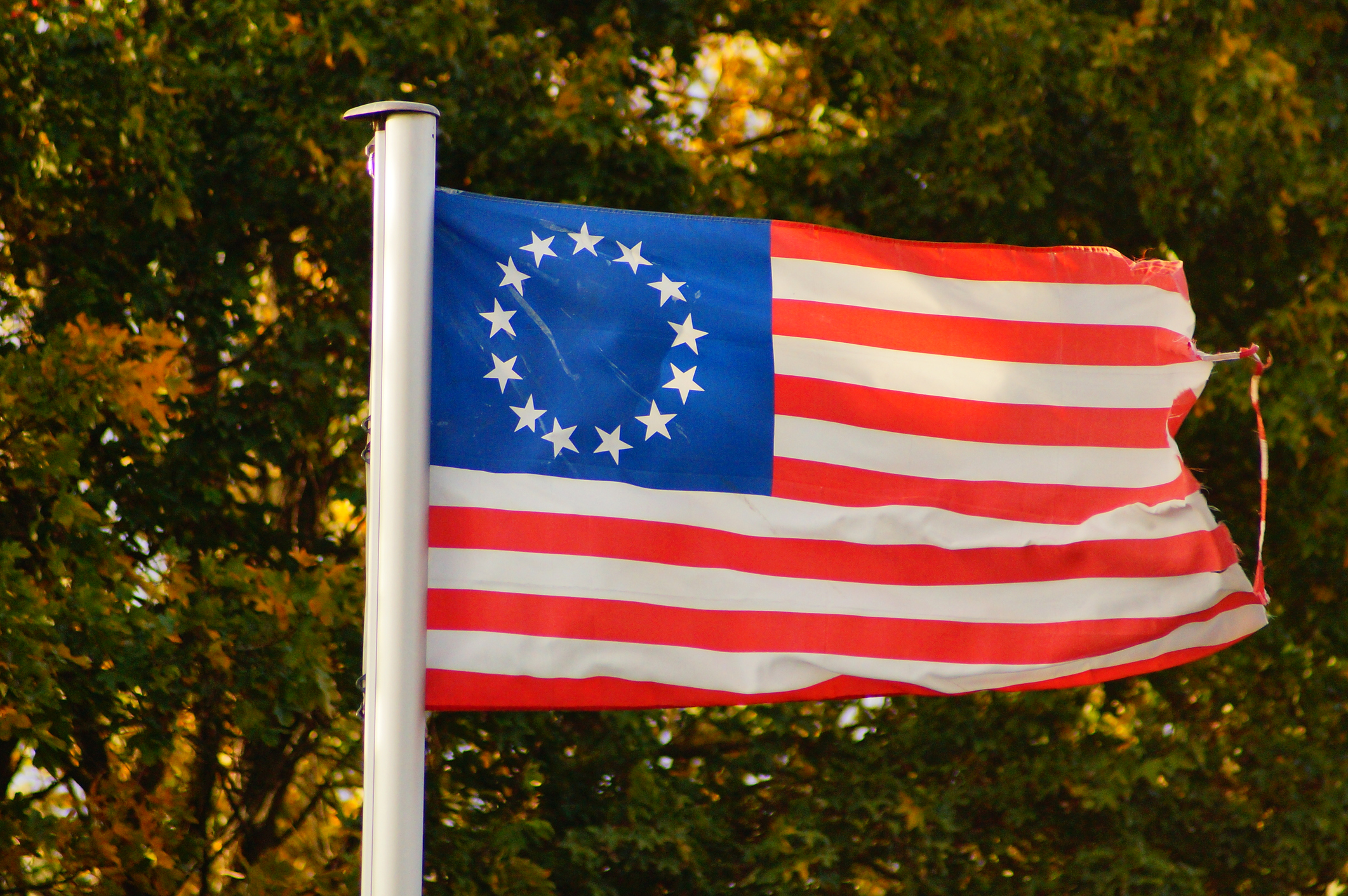 The Betsy Ross flag flies in an allotment garden.