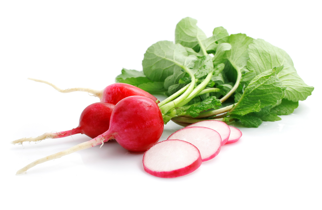 bunch fresh radish with cut