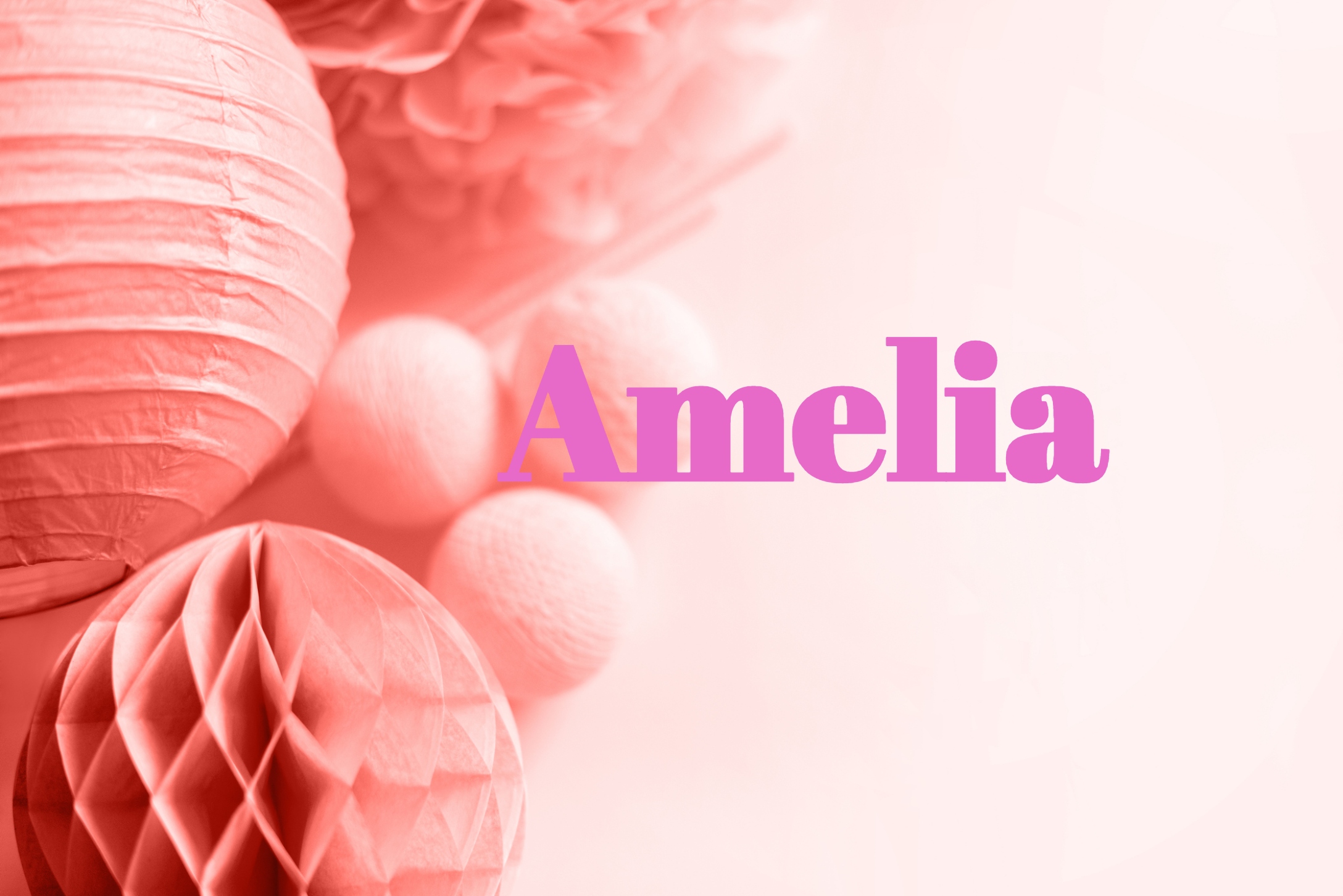 amelia-2.jpg