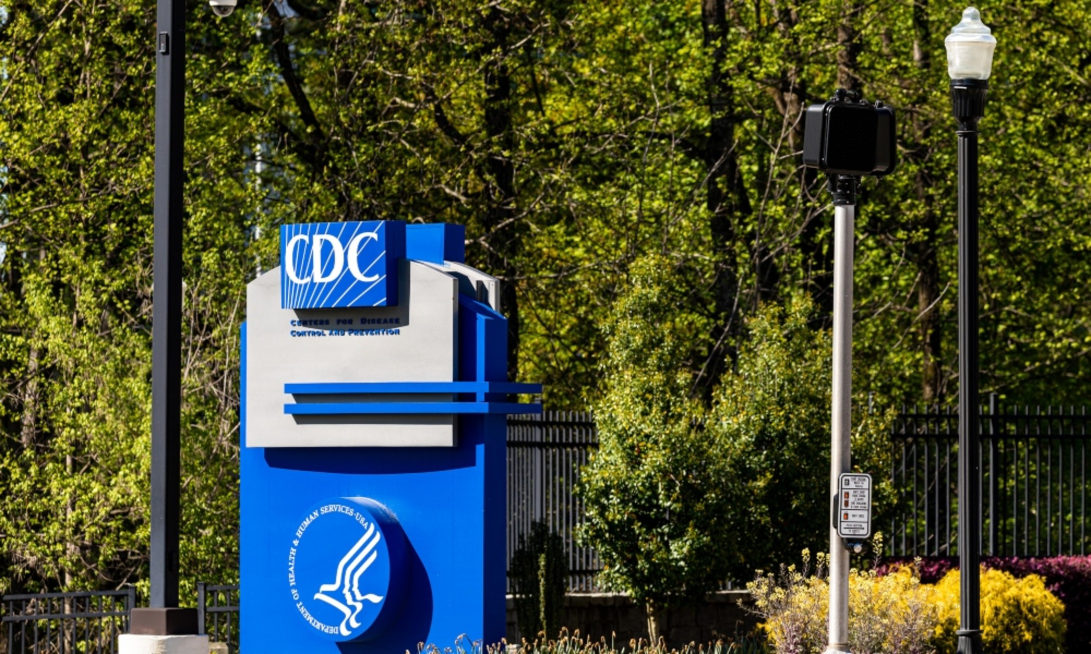 cdc-14.jpg