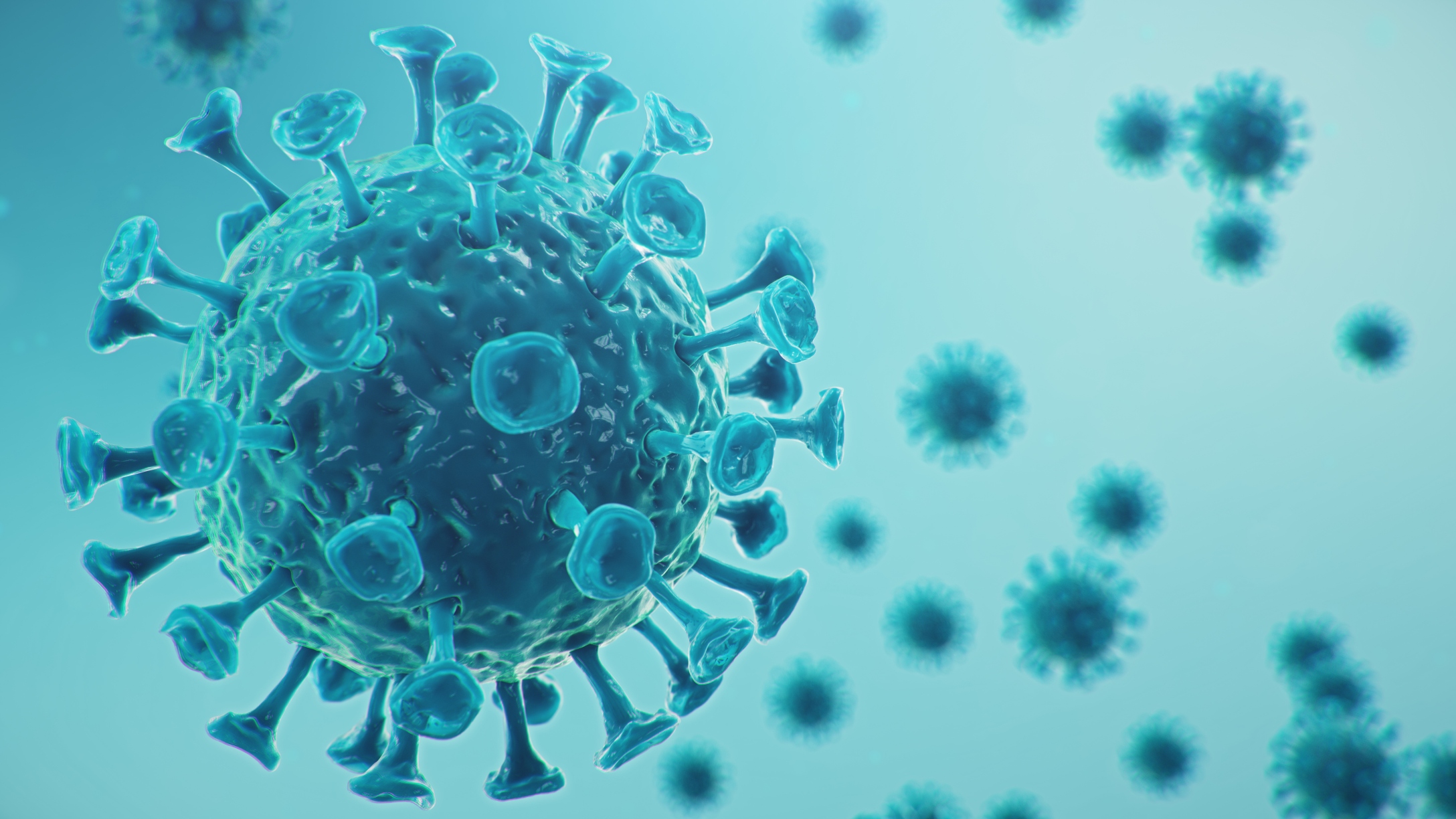 coronavirus-21.jpg