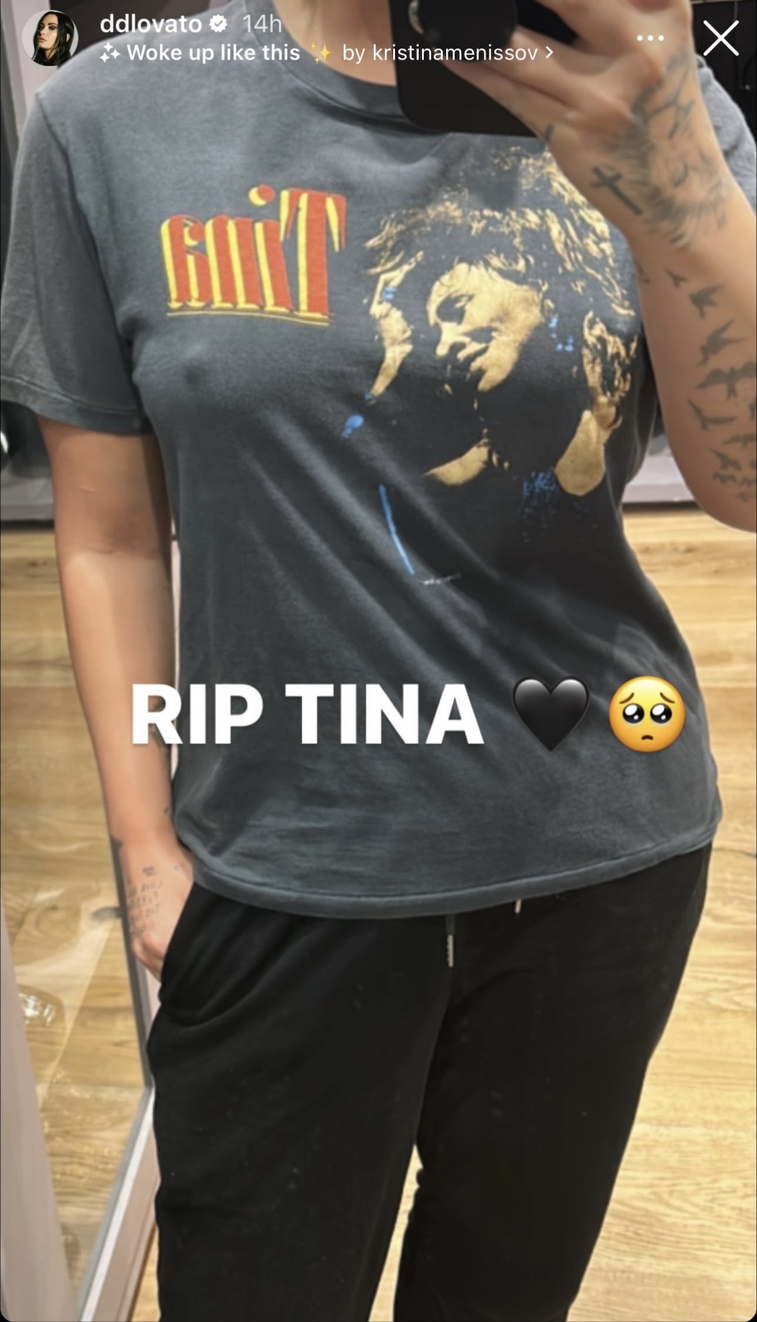 demi-lovato-tribute-tina-turner.jpg