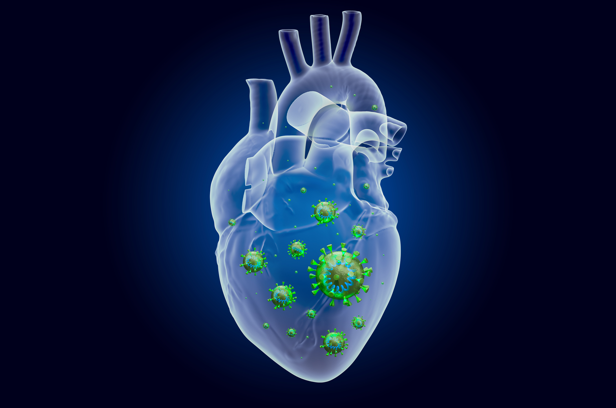 Heart with virus, ghost light effect, x-ray hologram. 3D rendering on dark blue background