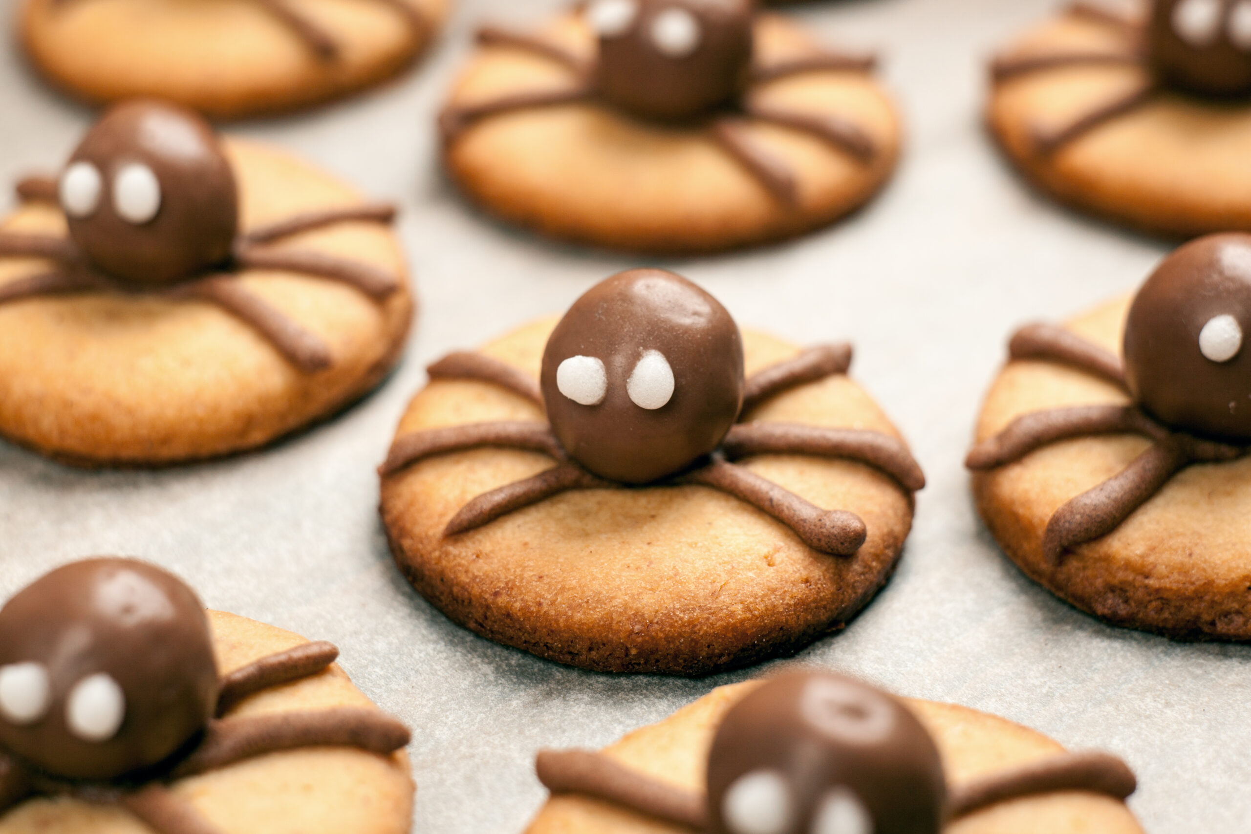 Funny delicious ginger biscuits for Halloween on the table. Set of chocolate Halloween spider cookies on paper for bake and wooden background