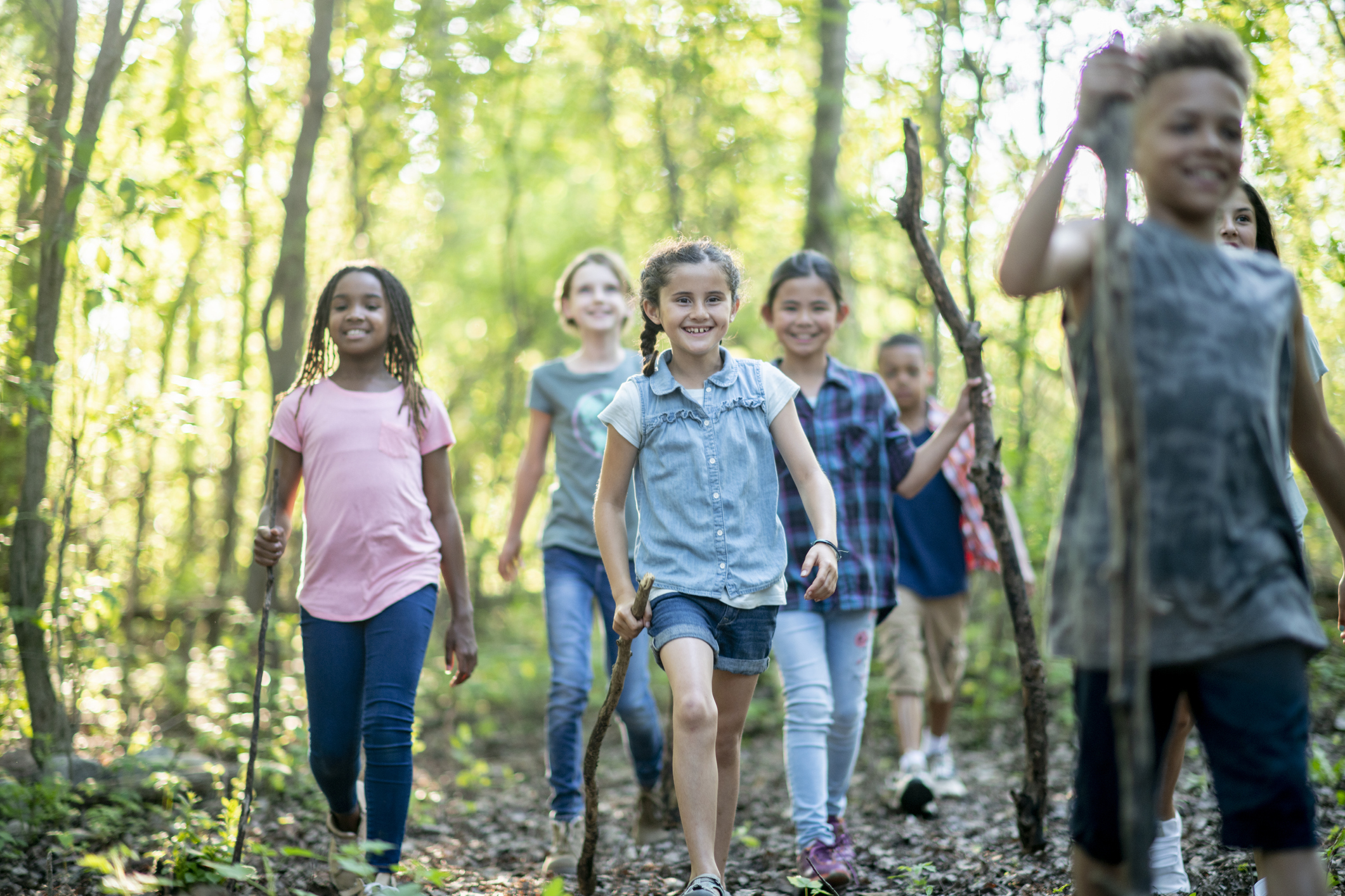 Walking In The Woods