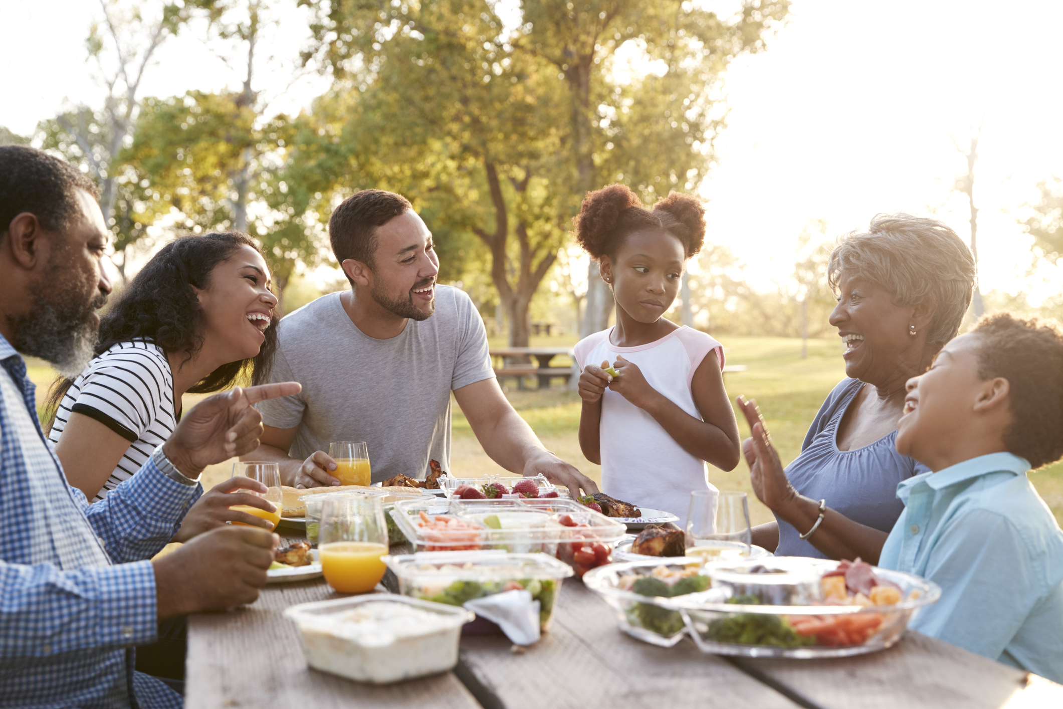 Multi Generation Family Enjoying Picnic In Park Together