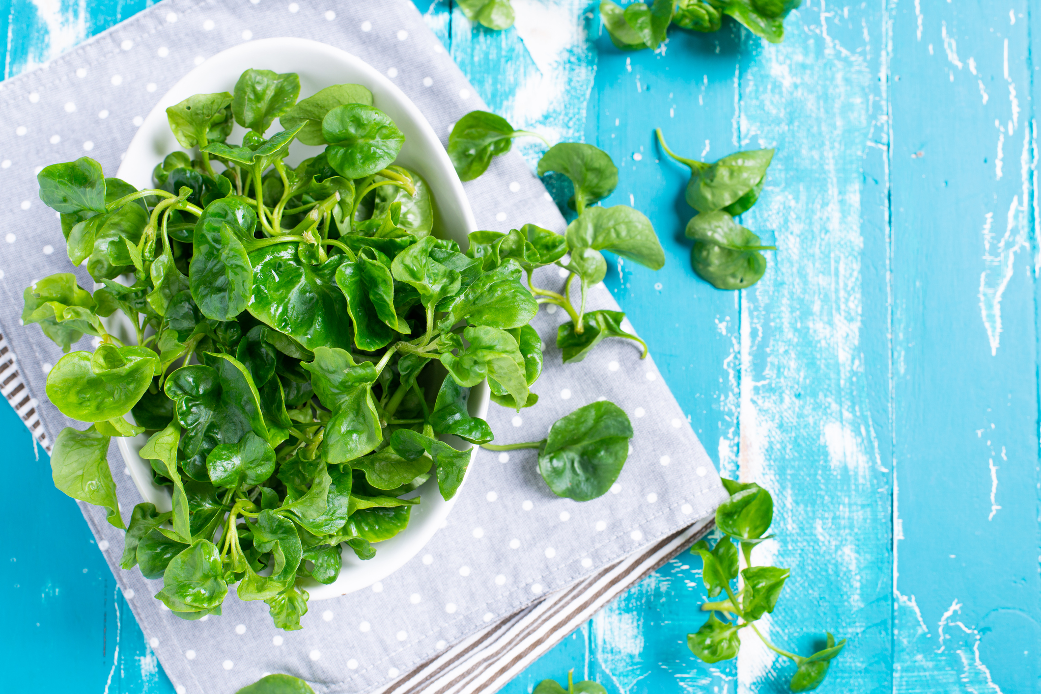 Fresh Watercress  on table background