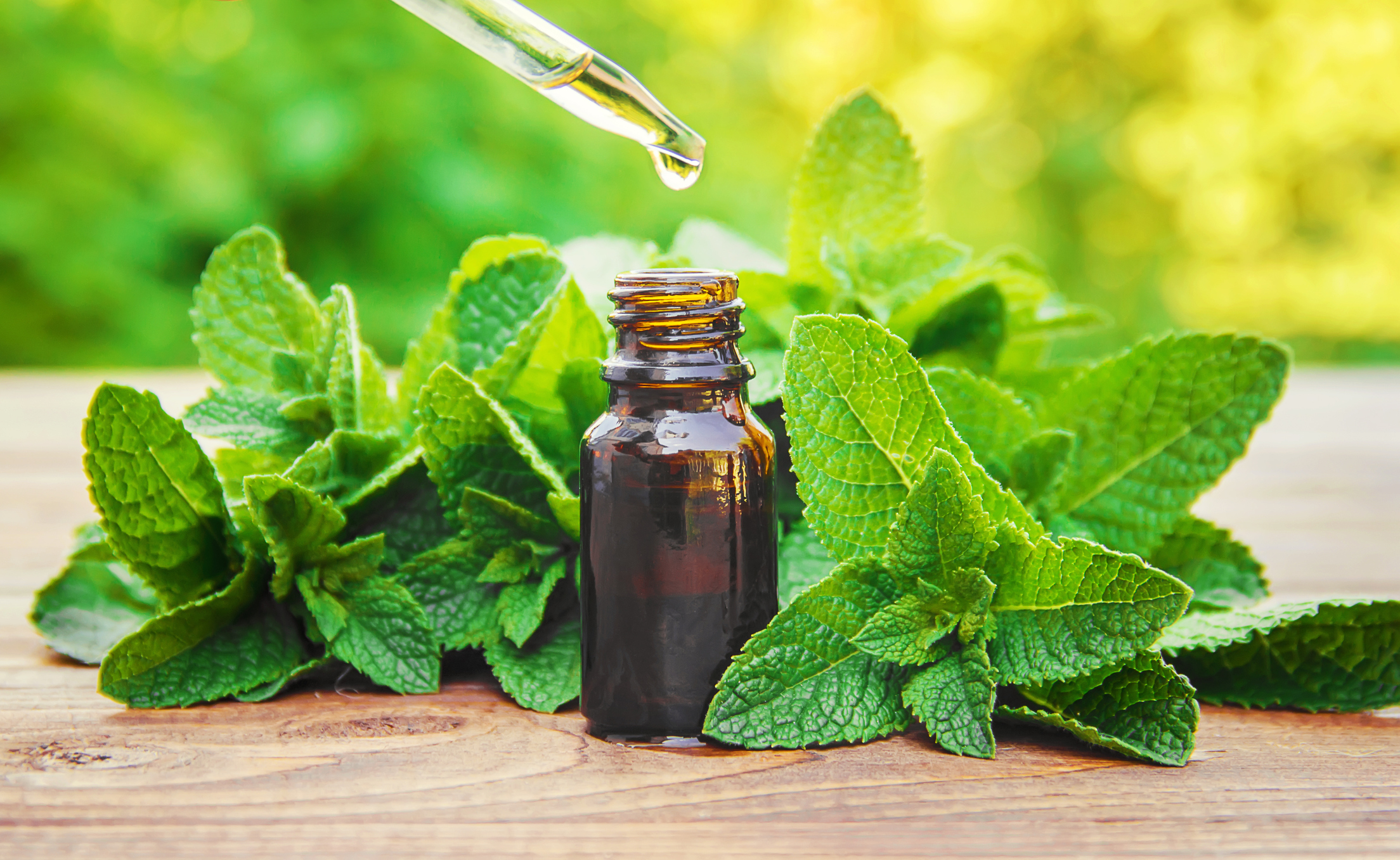 The mint extract in a small jar. Selective focus.