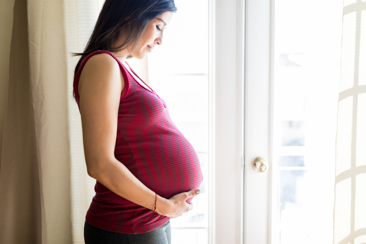 Woman Enjoying Pregnancy At Home