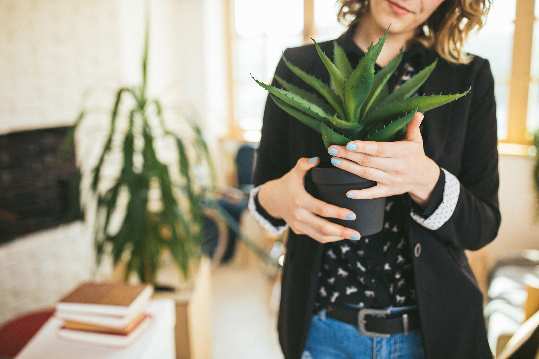 Unrecognizable Woman holding an Aloe Vera plant