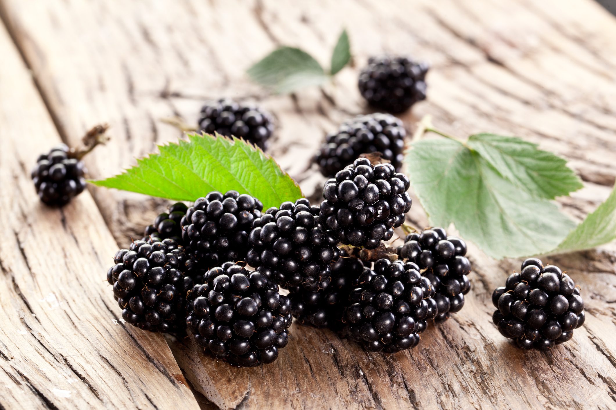 Blackberries with leaves.