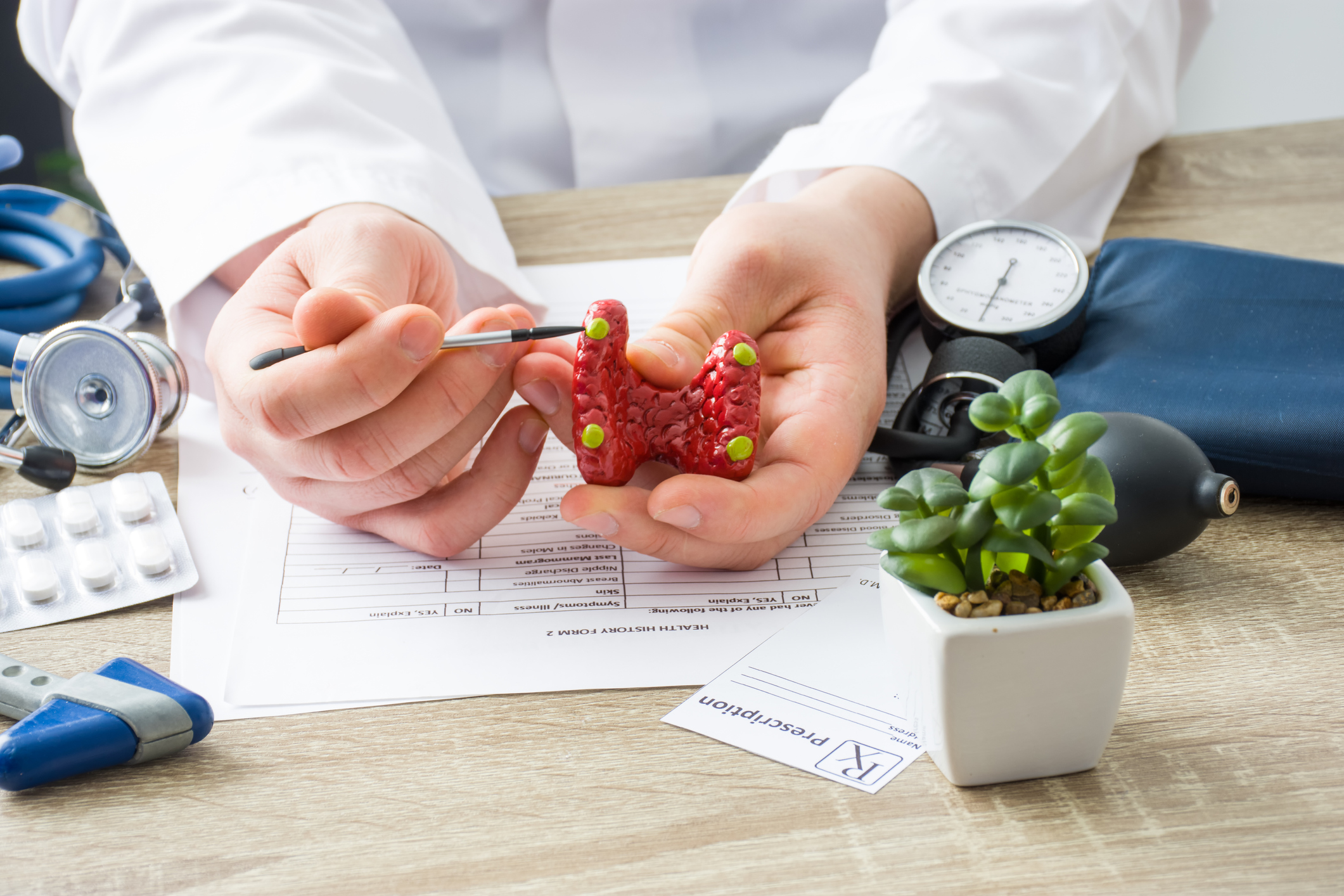 At doctors appointment physician shows to patient shape of thyroid with parathyroid glands with focus on hand with organ. Scene explaining patient causes and localization