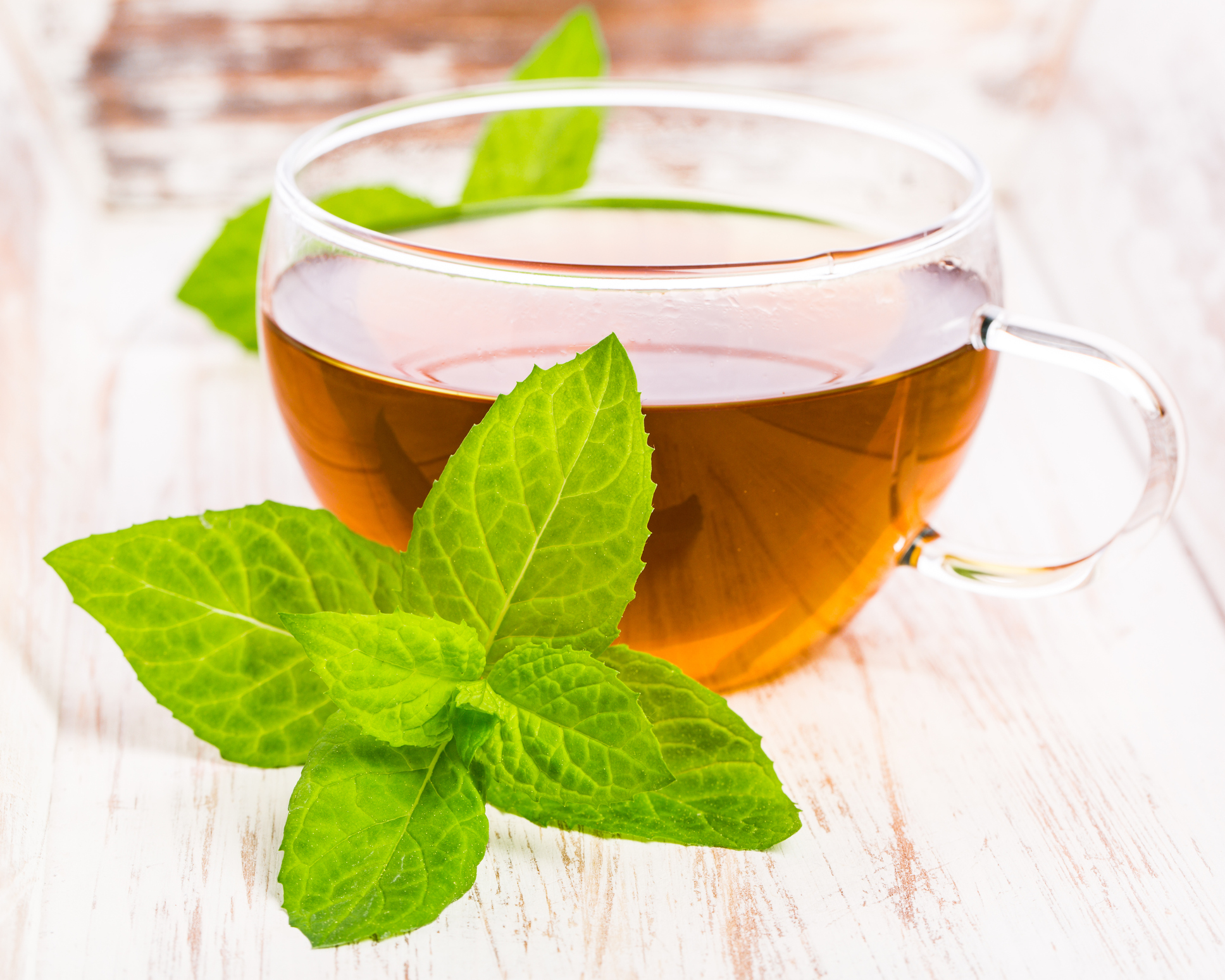 mint (mentha) tea on light wooden background