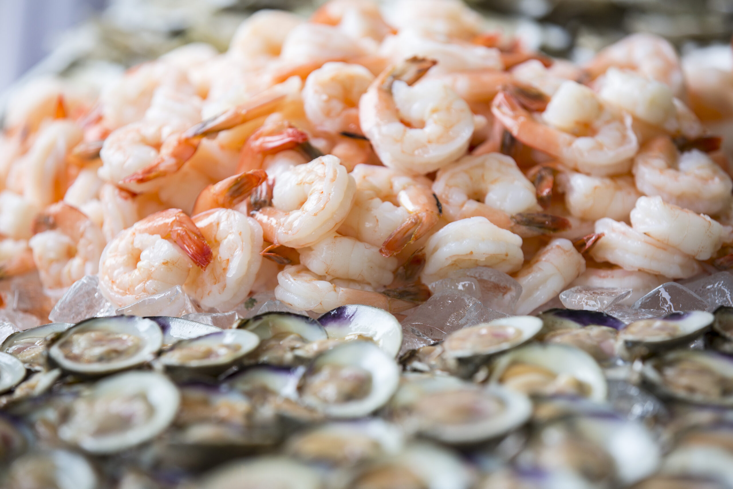 Shrimp and Oysters on the half shell