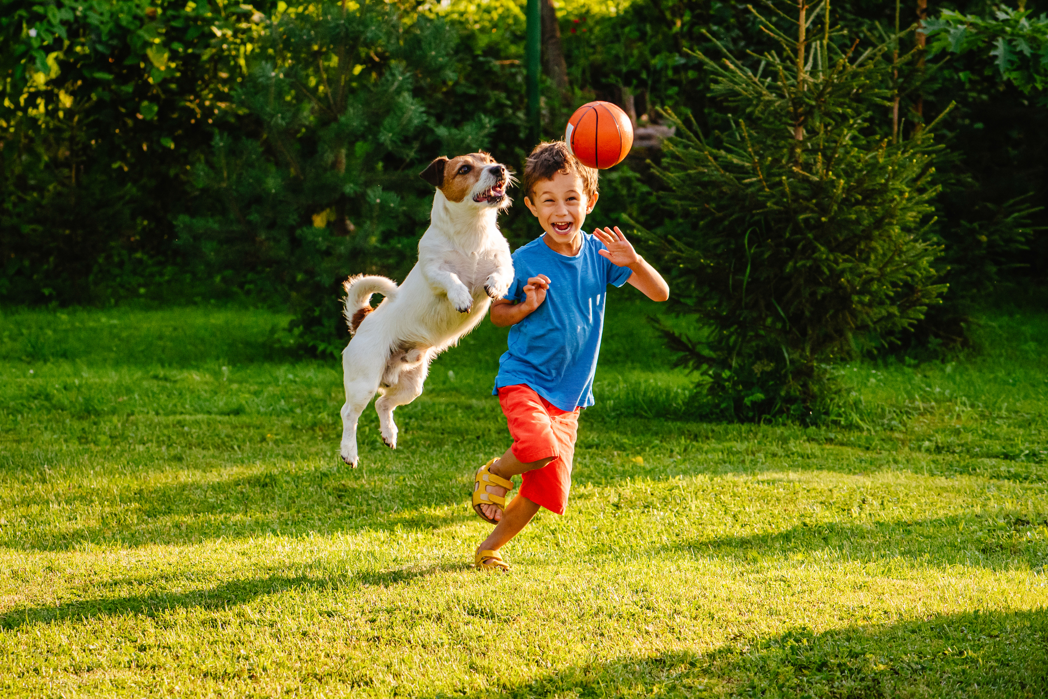 Family having fun outdoor with dog and basketball ball