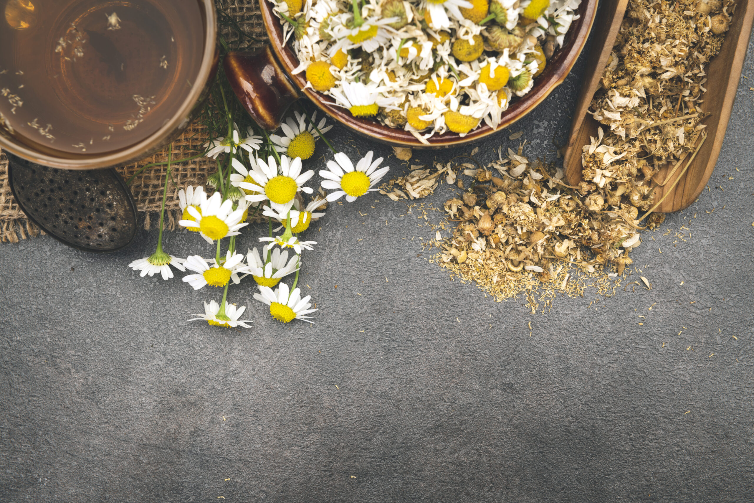 chamomile background