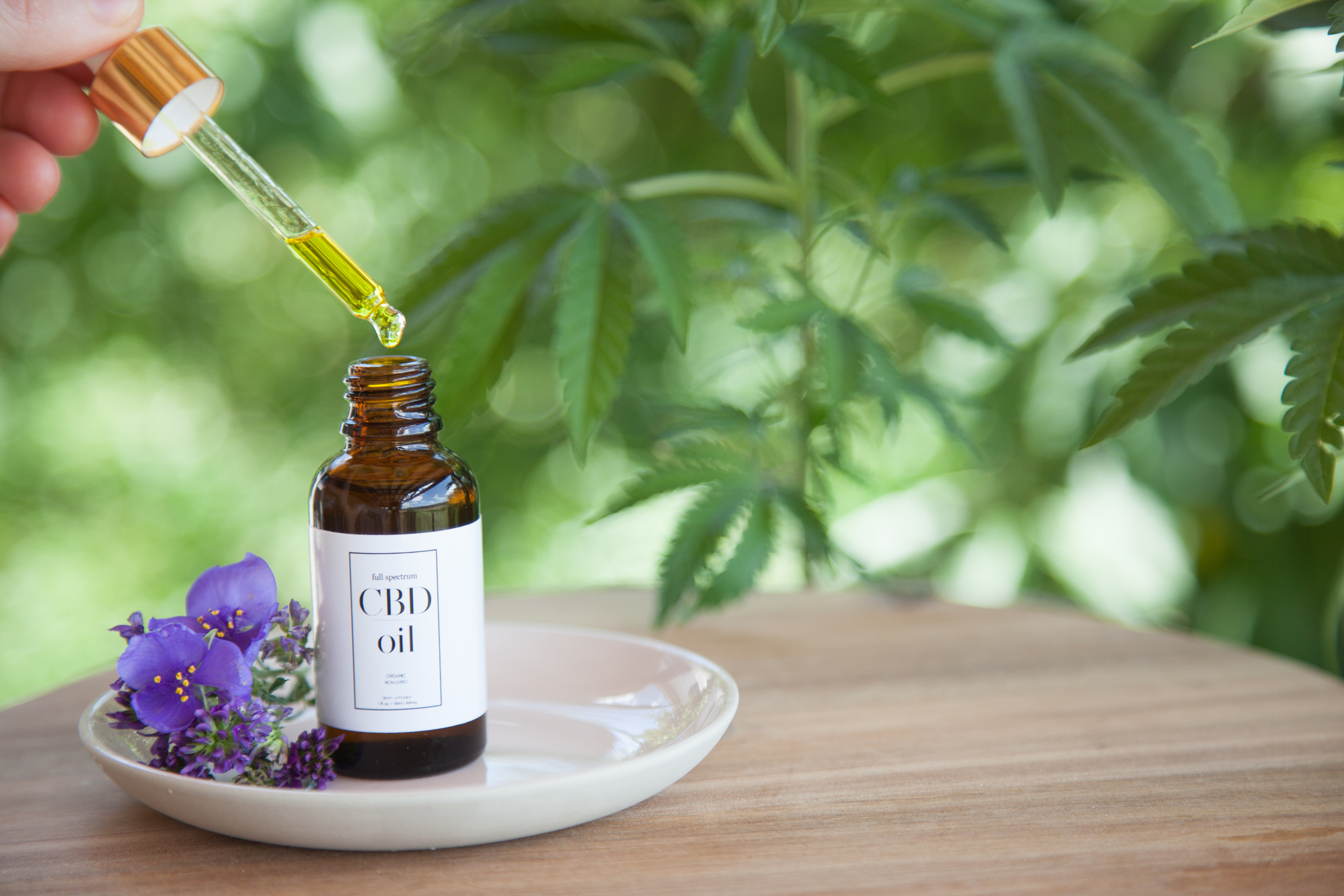 Female hand removing CBD Cannabis Oil (cannabidiol) from bottle  on small plate atop wooden surface.