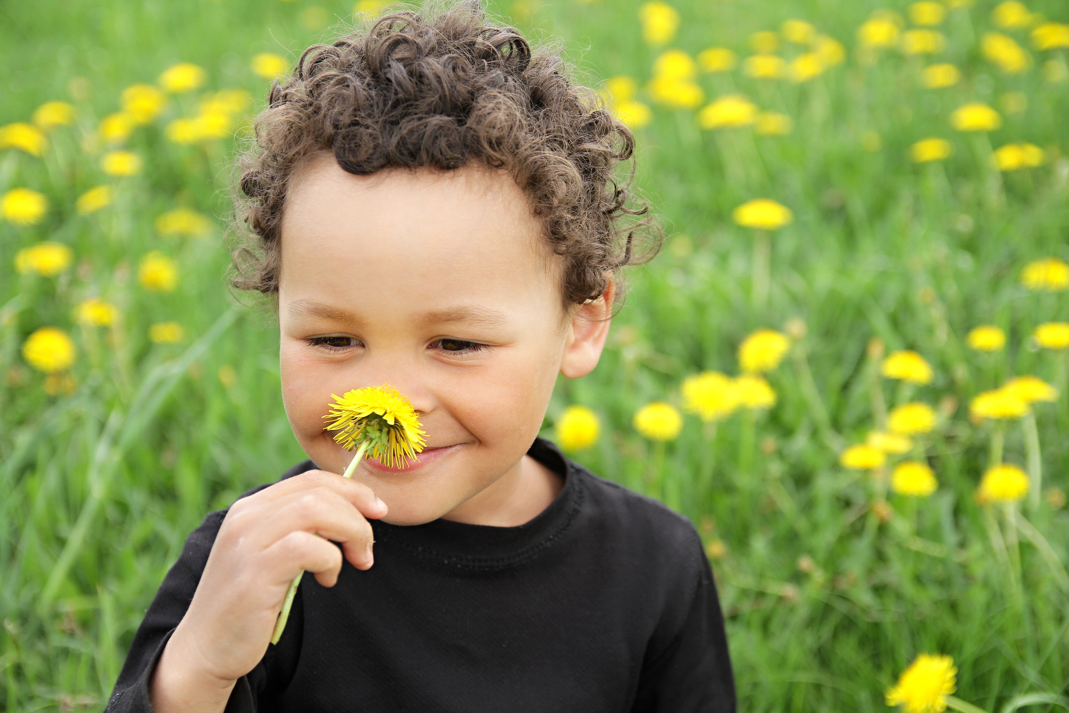 boy smelling dandelion flowers