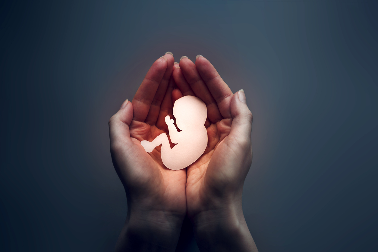 Womans palms pressed together and keep embryo from paper. Dark background