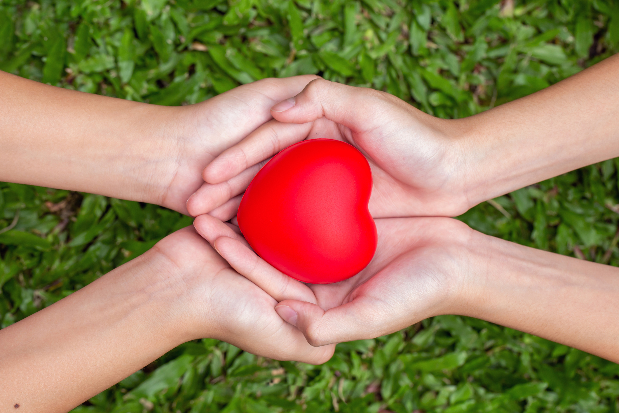 adult and child hands holding red heart on the grass, health care, donate and family insurance concept,world heart day, world health day,