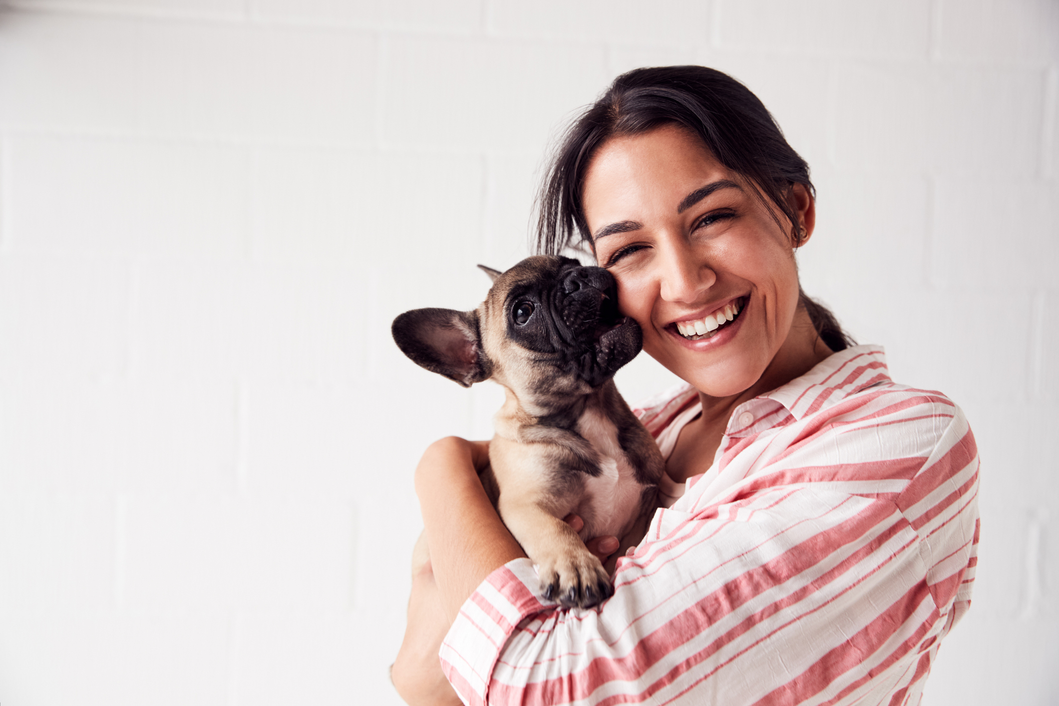 Studio Portrait Of Smiling Young Woman Holding Affectionate Pet French Bulldog Puppy