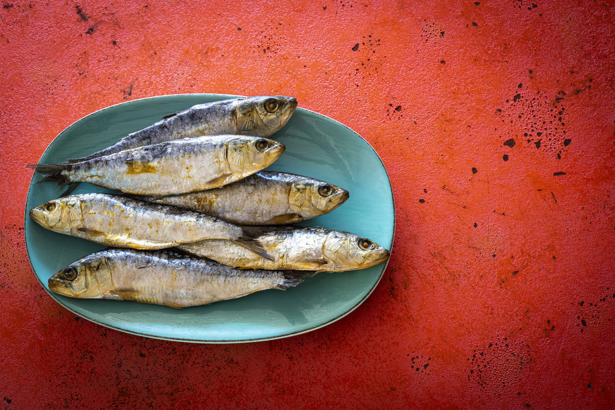 Salty sardines in turquoise plate on coral color