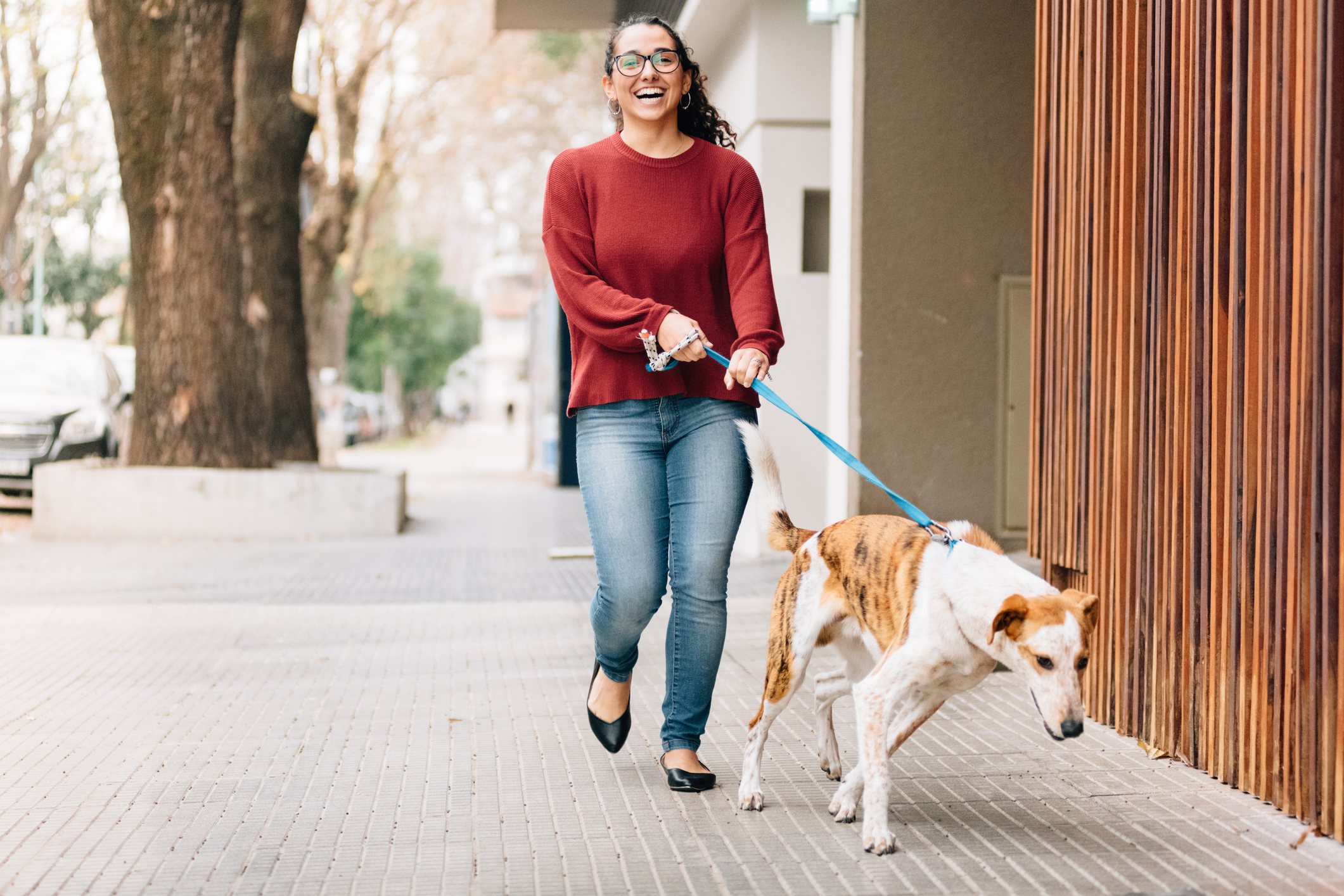 Woman Walking her Whippet Dog