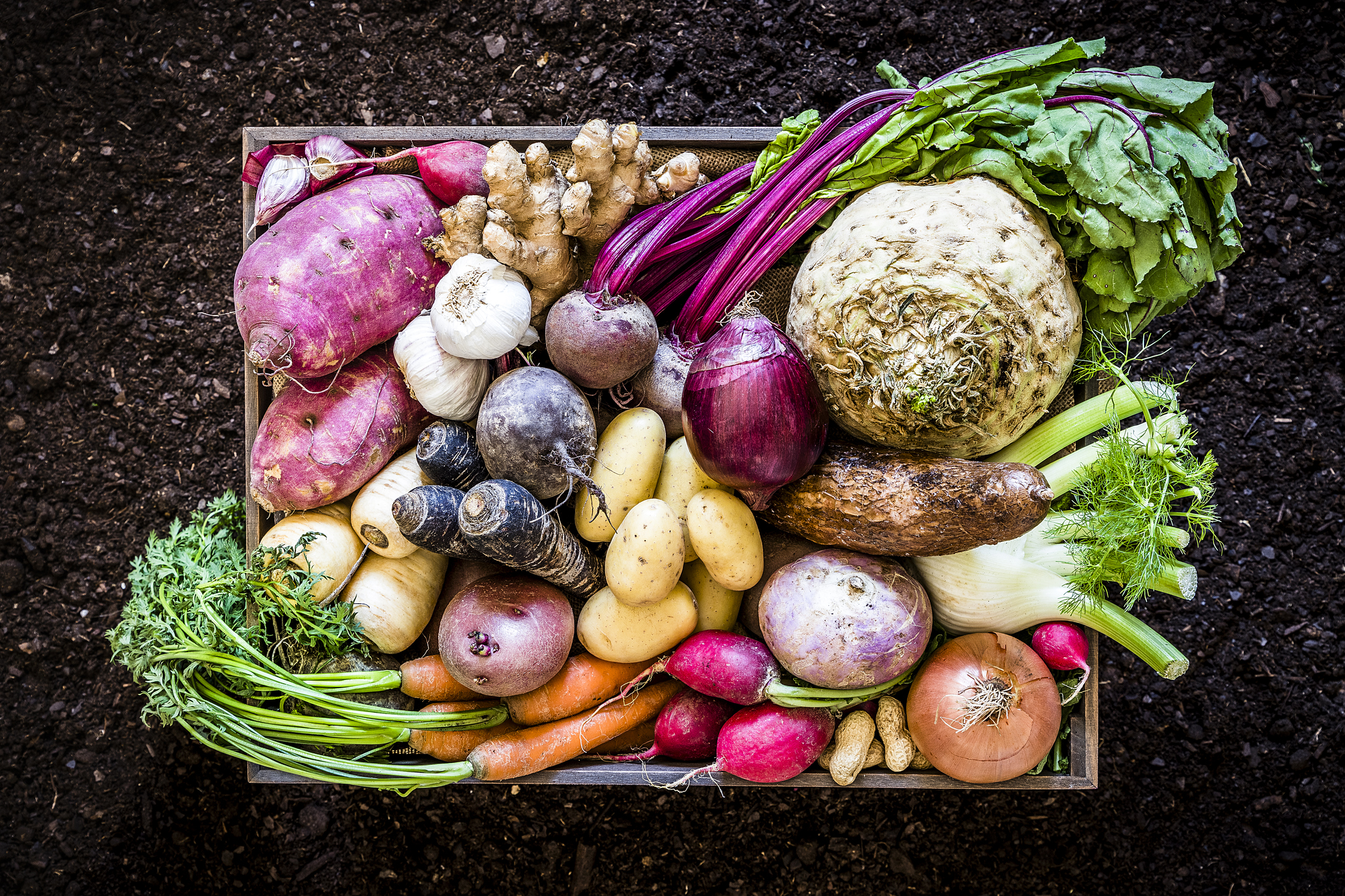 Healthy food: organic roots, legumes and tubers still life.