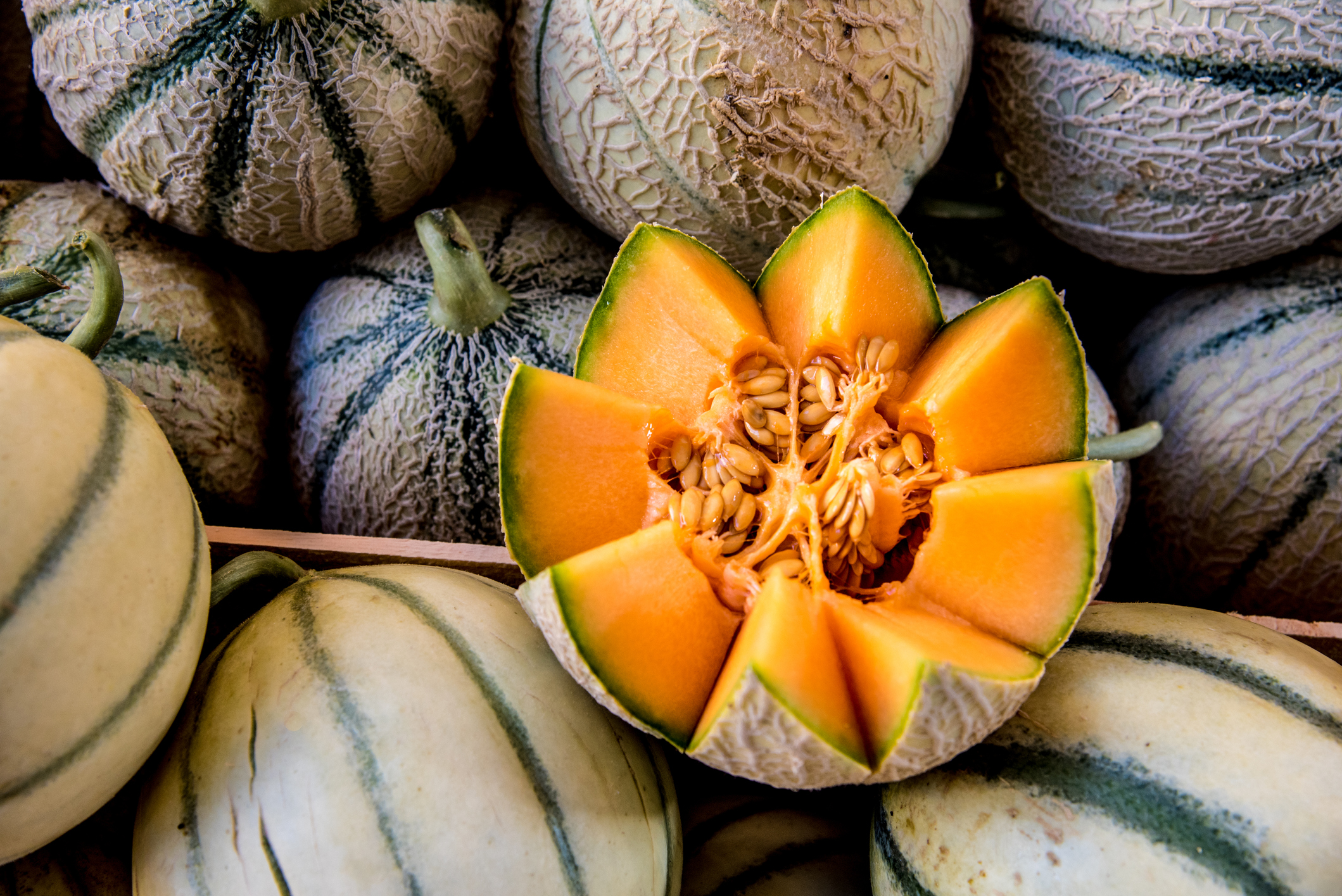 Ripe juicy cut cantaloupe