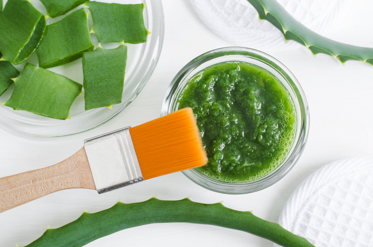 Small glass bowl with aloe vera puree and cosmetic brush. Homemade facial or hair mask (moisturizer). Natural beauty treaments and spa. White background. Top view, copy space.