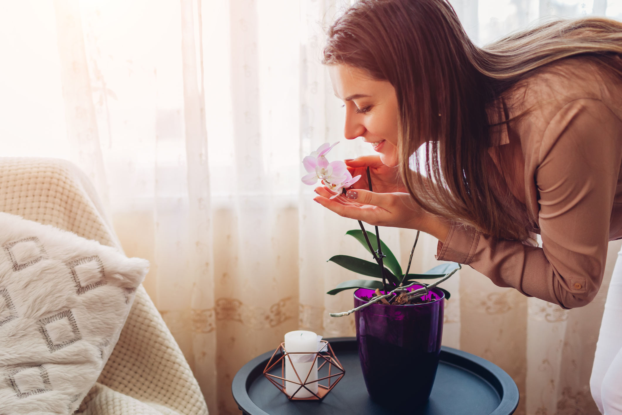 Woman smelling orchid in pot on table in living room. Housewife taking care of home plants and flowers. Interior