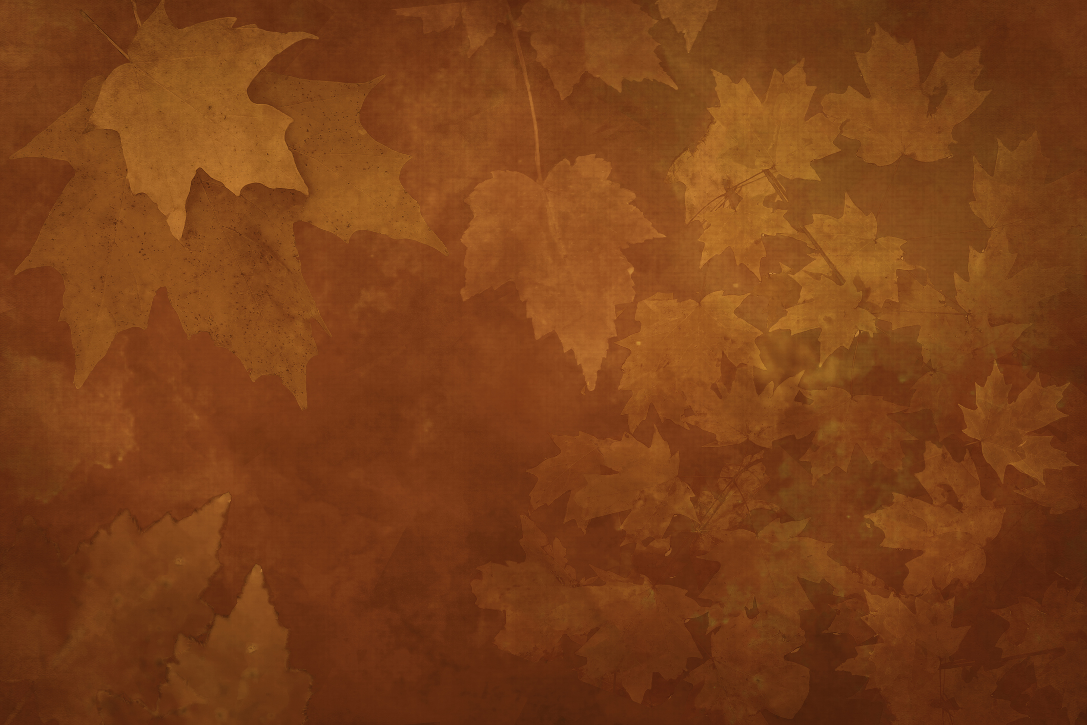 Watercolor Background of Abstract Leaves - Autumn Leaf Colors