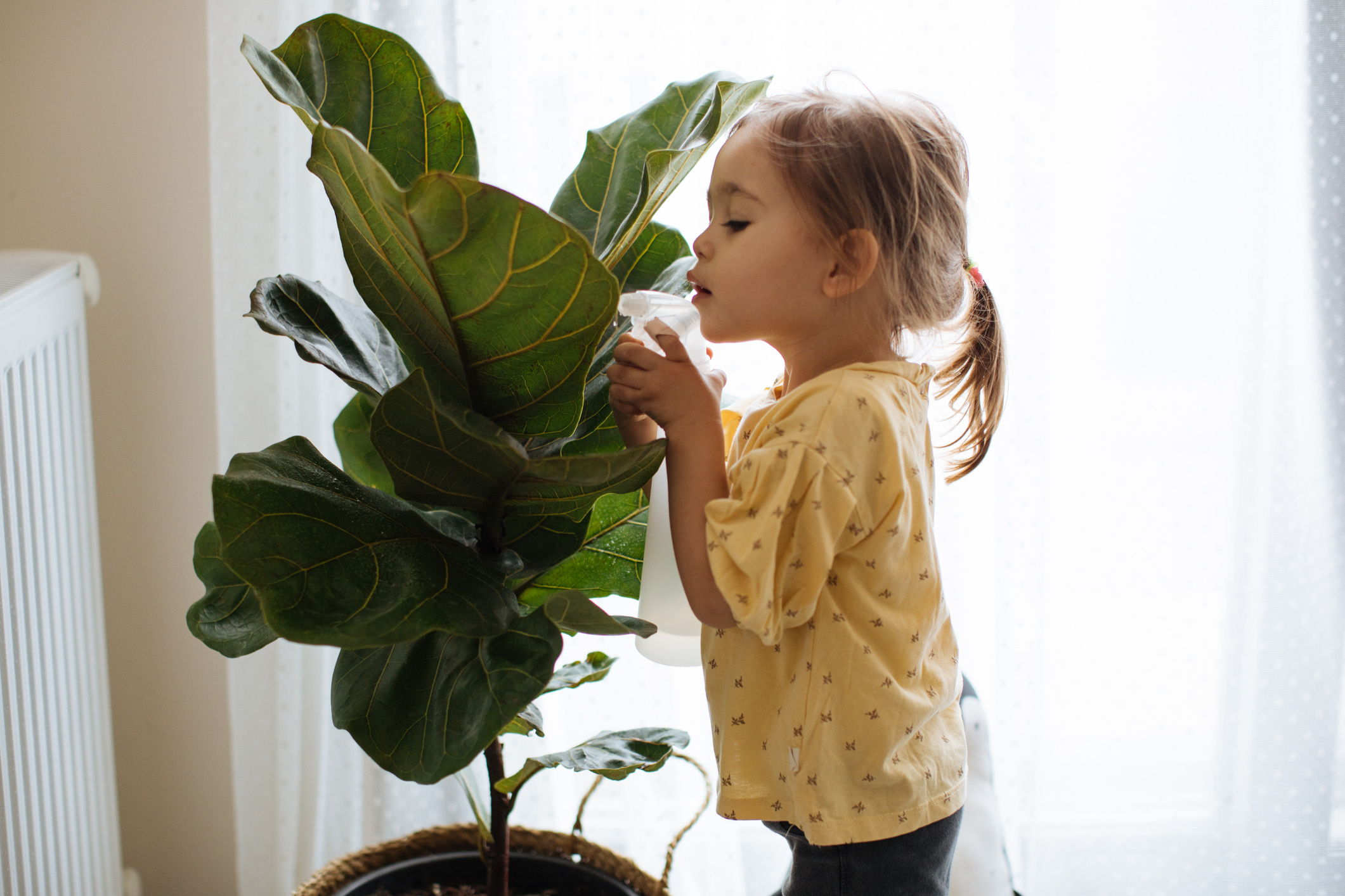 Little girl watering houseplants