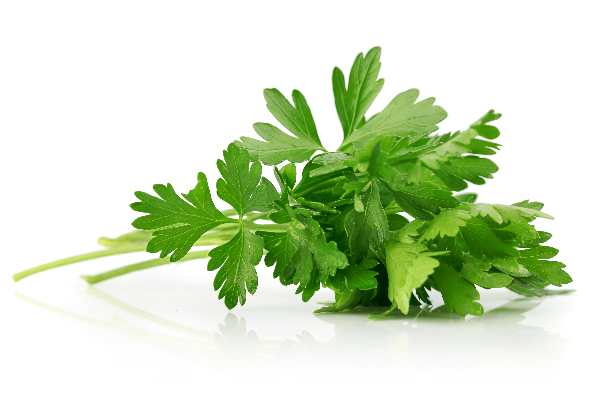 green leaves of parsley