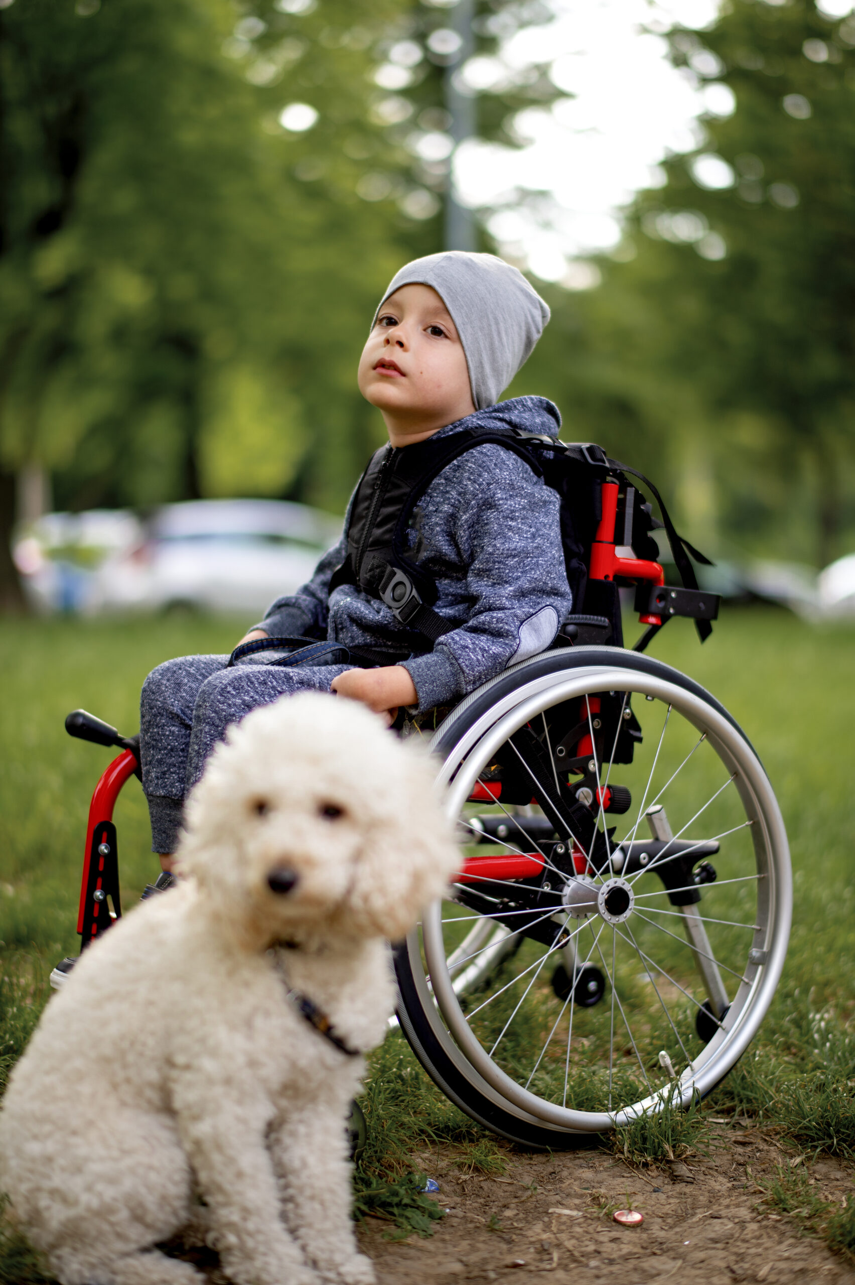 Young boy with puppy