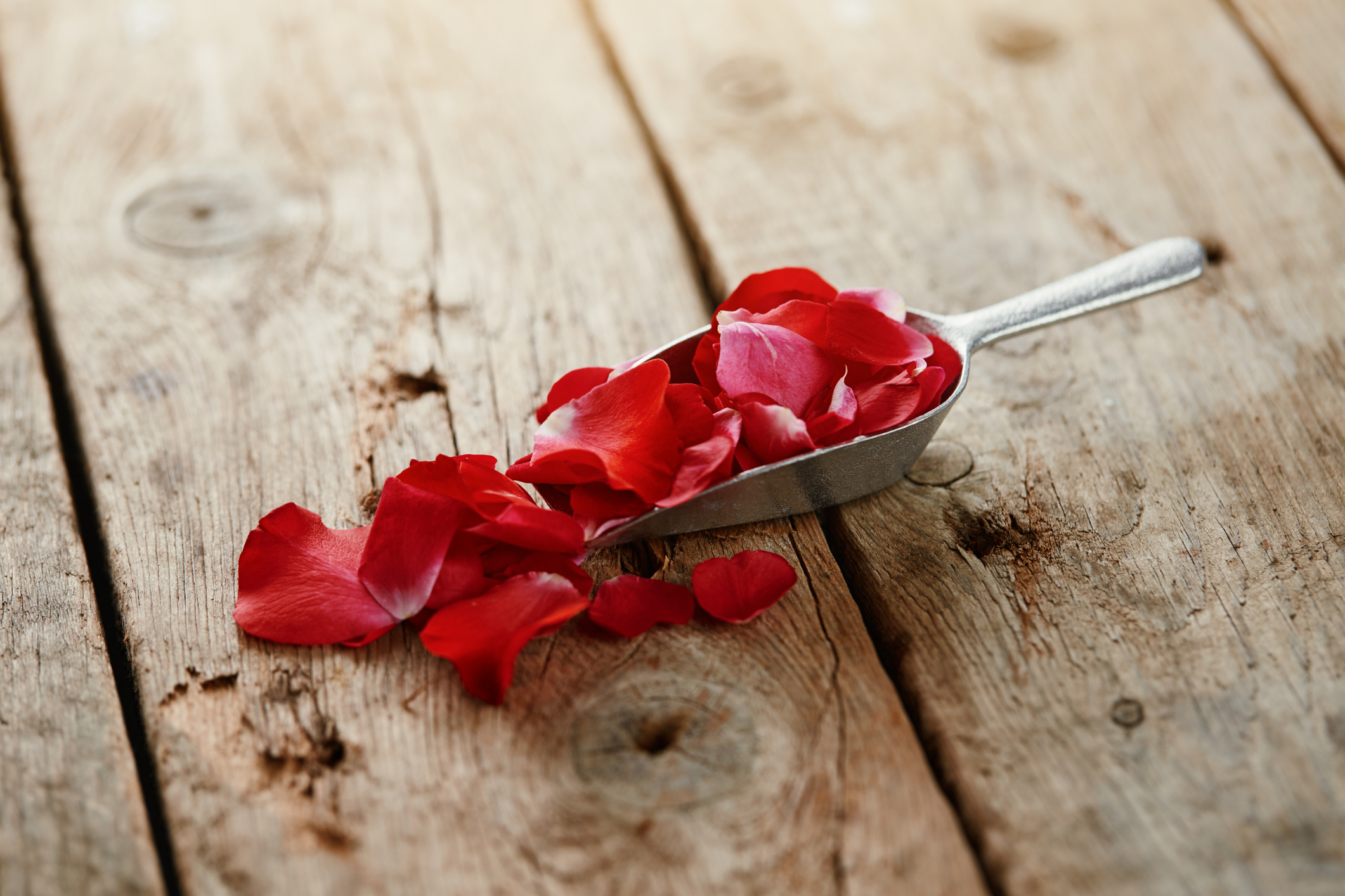 Red rose petals in a metal scoop on wooden table