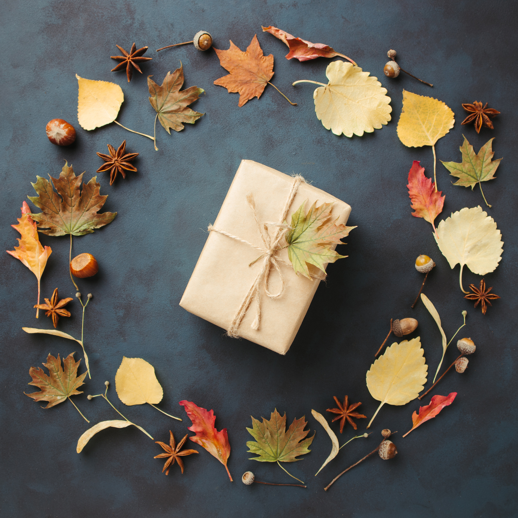 Autumn background, fall concept, thanksgiving day