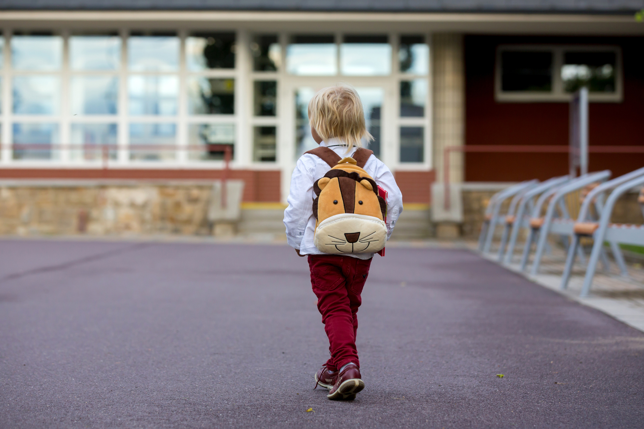 Preschool blond child, cute boy in uniform, hodling apple and book, going in preschool for the first time after summer