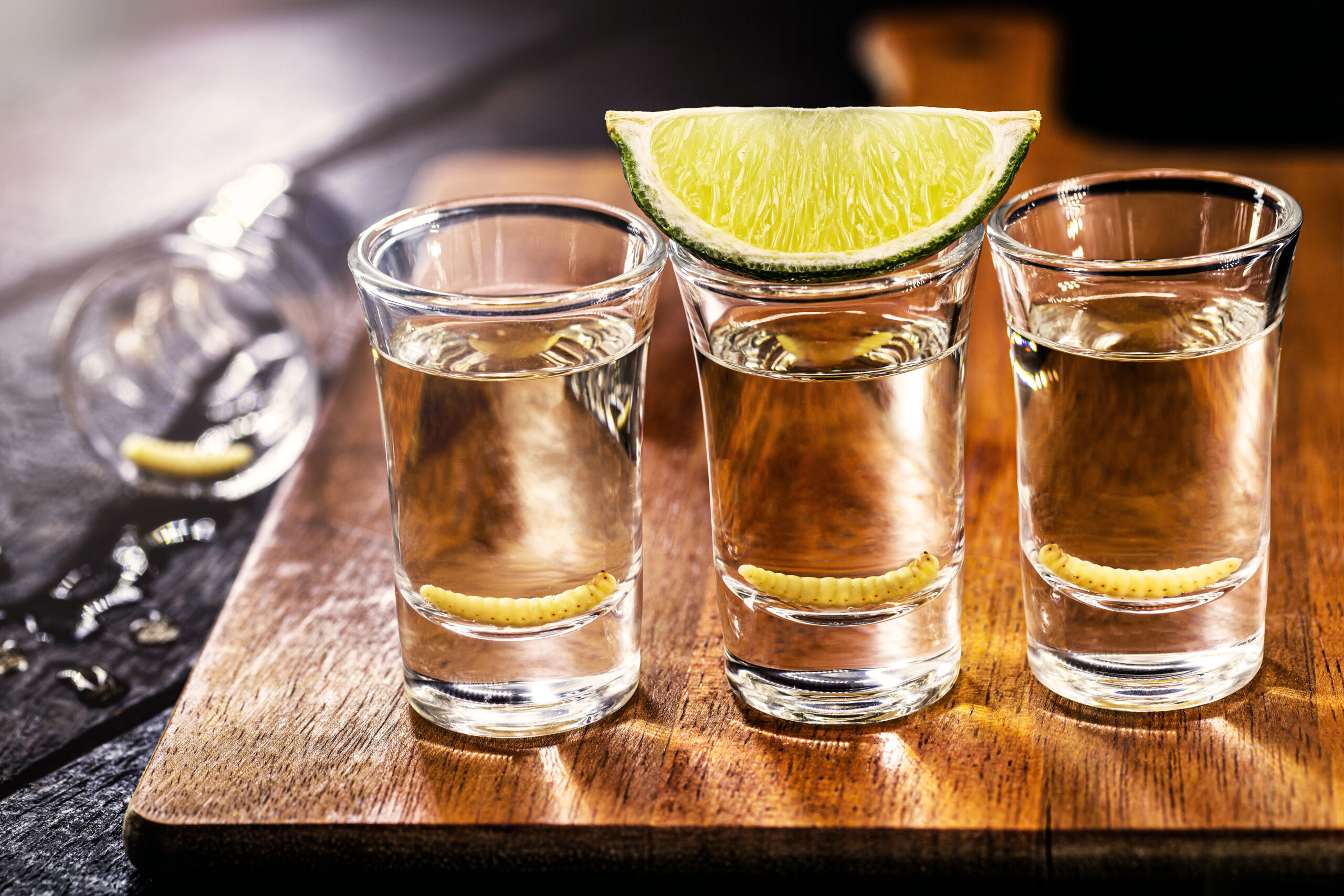 several glass of mezcal (or mezcal), typical and exotic brandy from mexico, with larva in the background and lemon