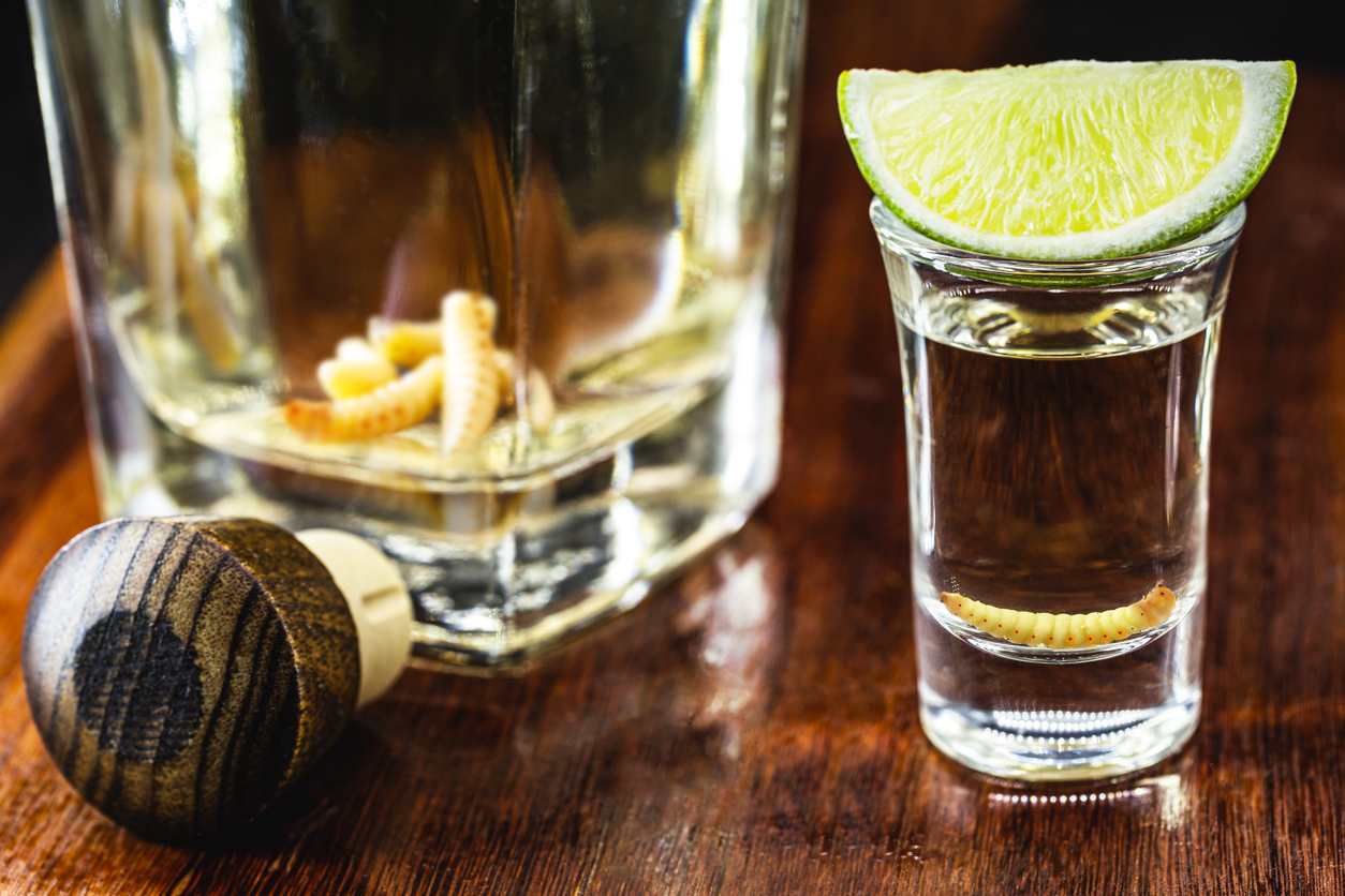 glass and bottle with mezcal (or mescal) is commonly known as tequila with larvae or worm, an exotic Mexican drink, served pure and with lemon