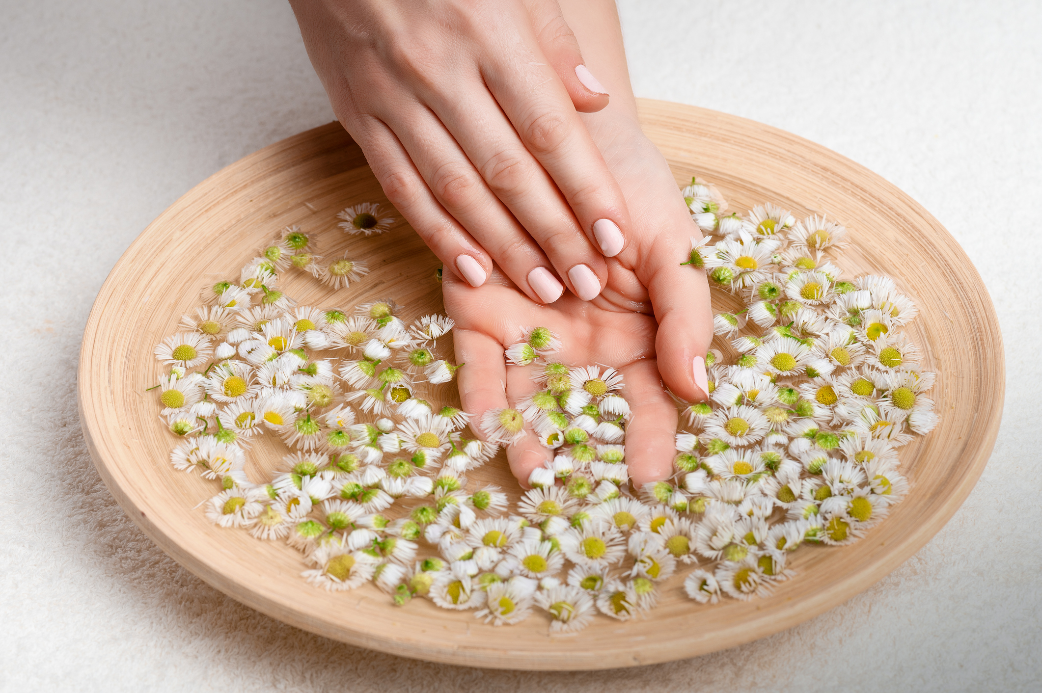 Women's hands in a decoction of chamomile in a beautiful wooden dish. Hand and nail care at home.