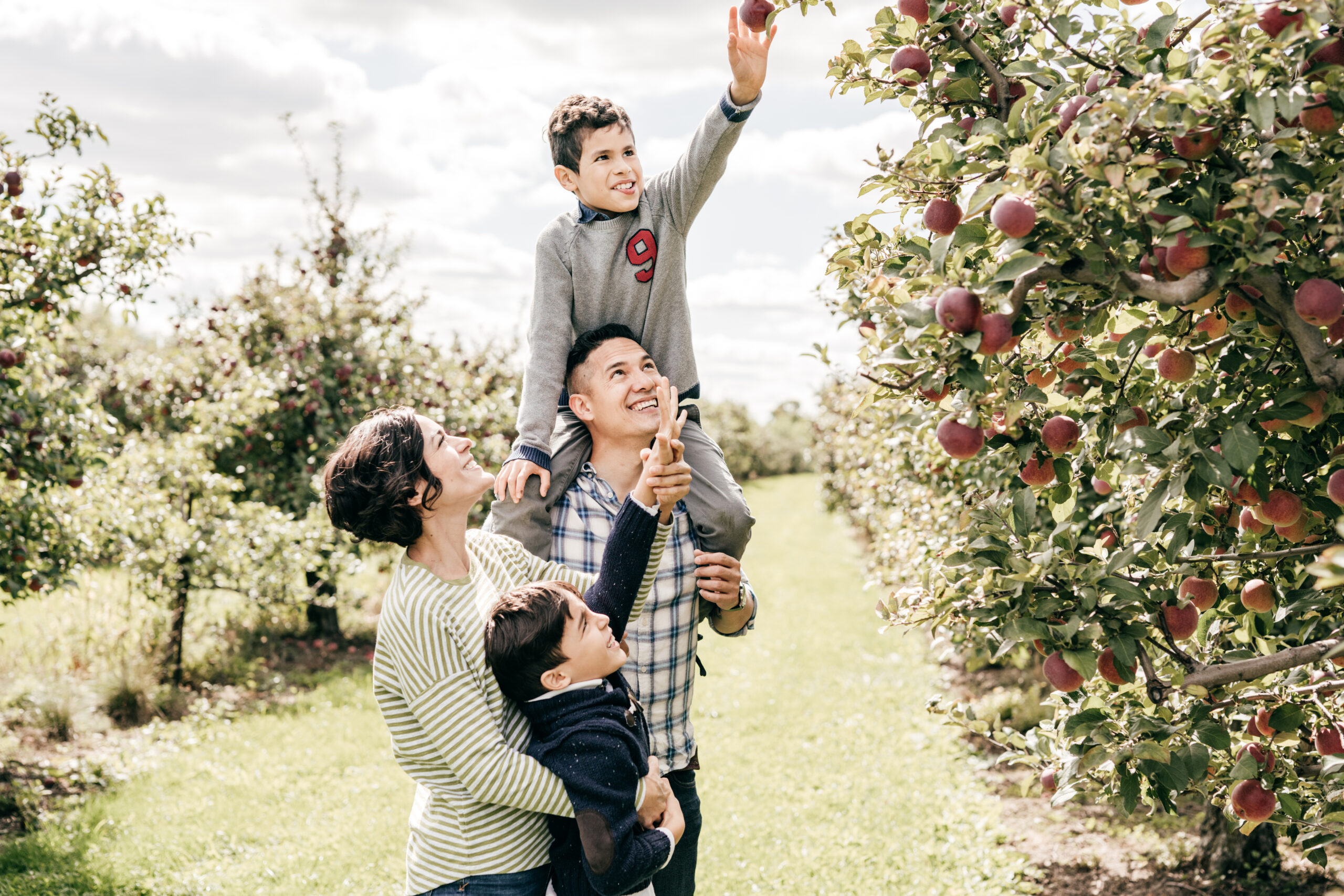 Active learning by visiting apple farm