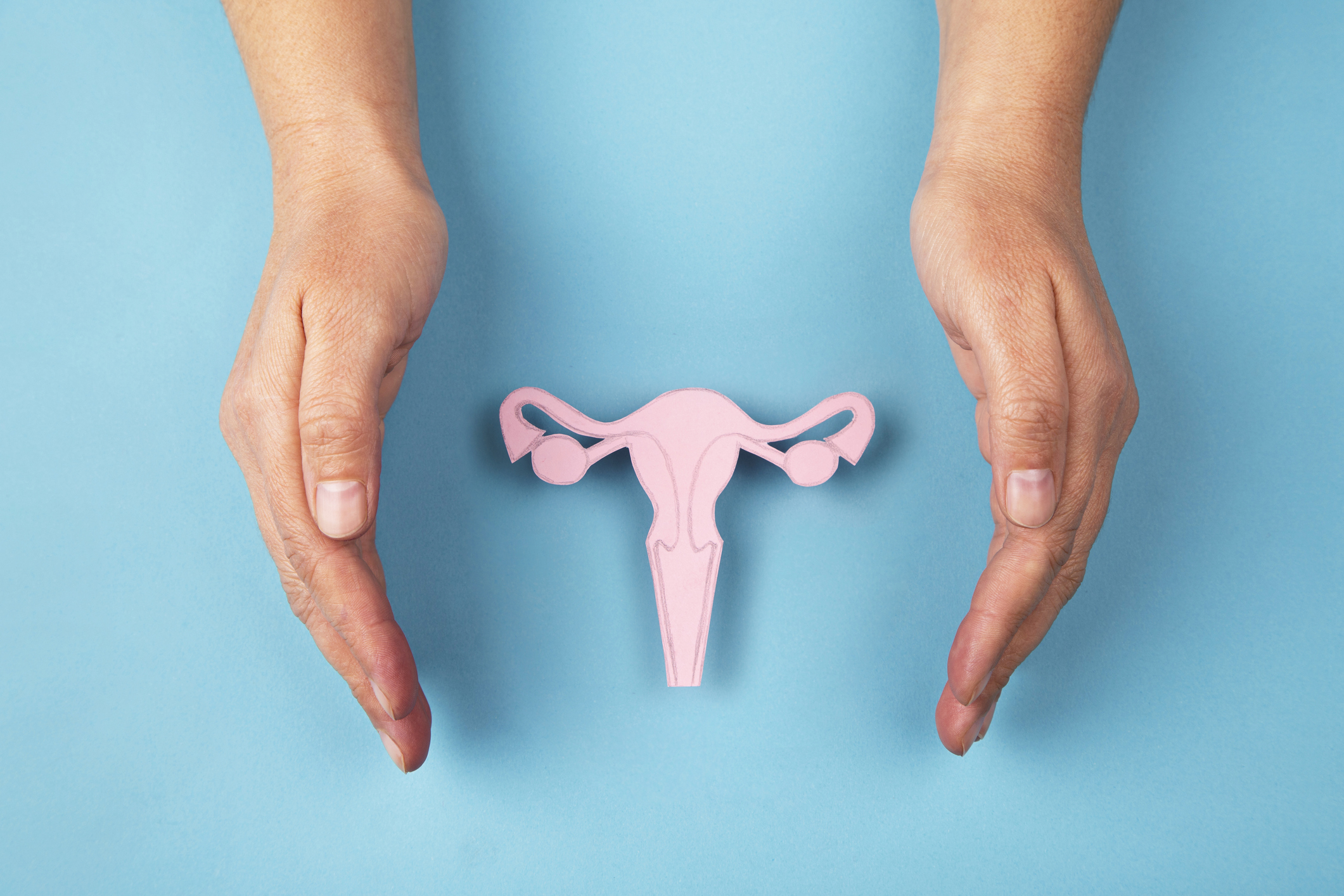 Female reproductive system and hands