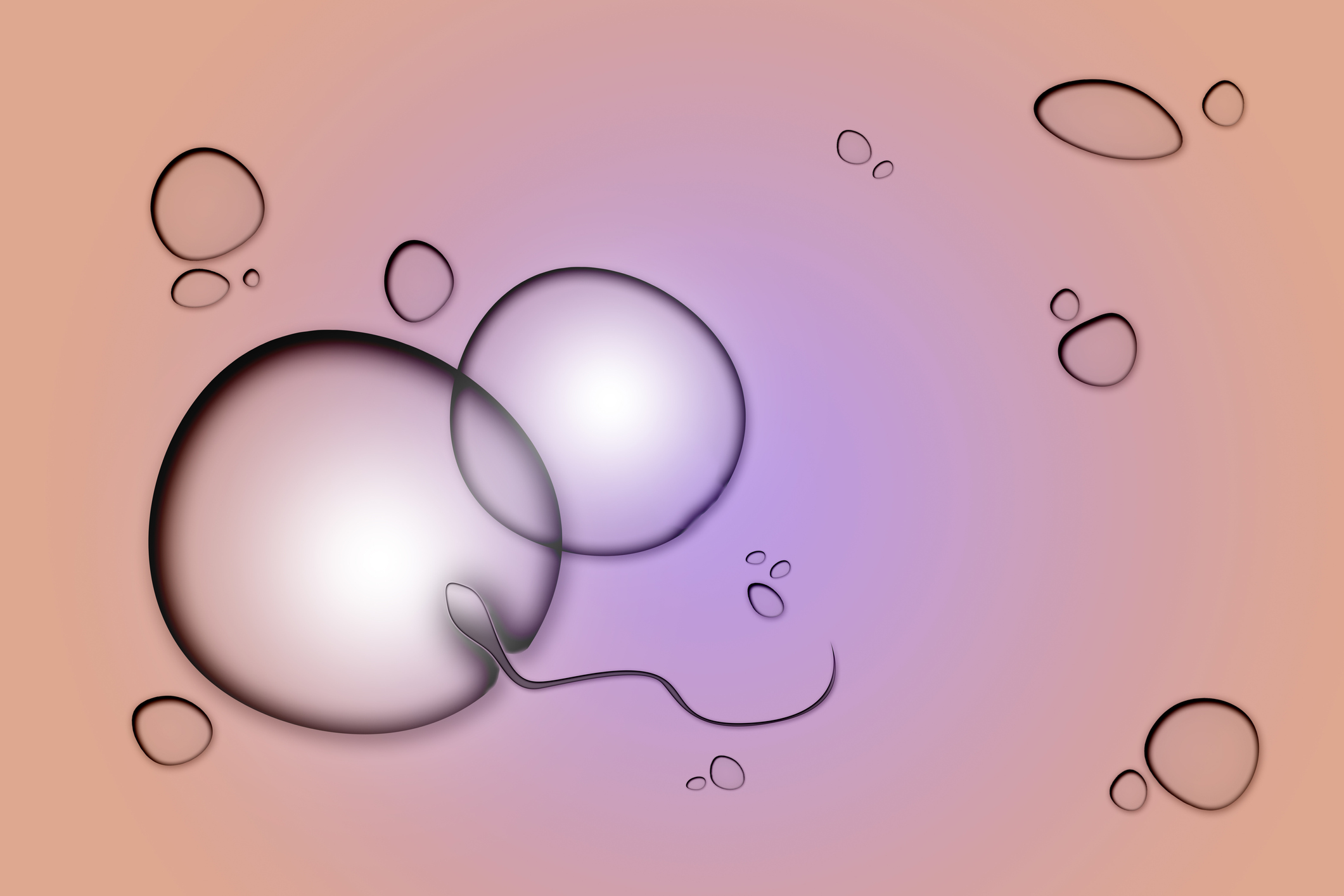 Digitally generated sperm and egg