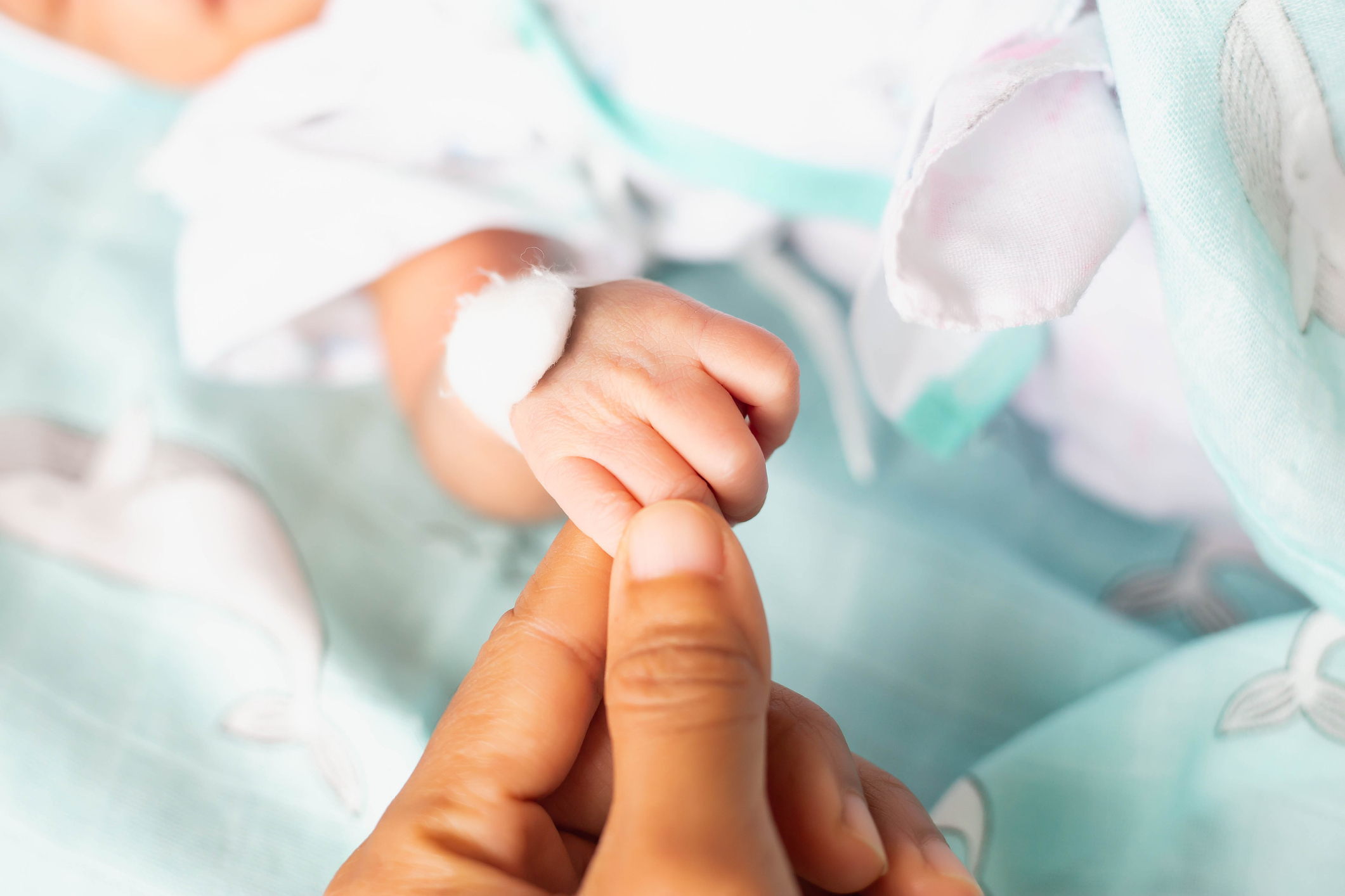 Small delicate little hand of newborn - close portrait