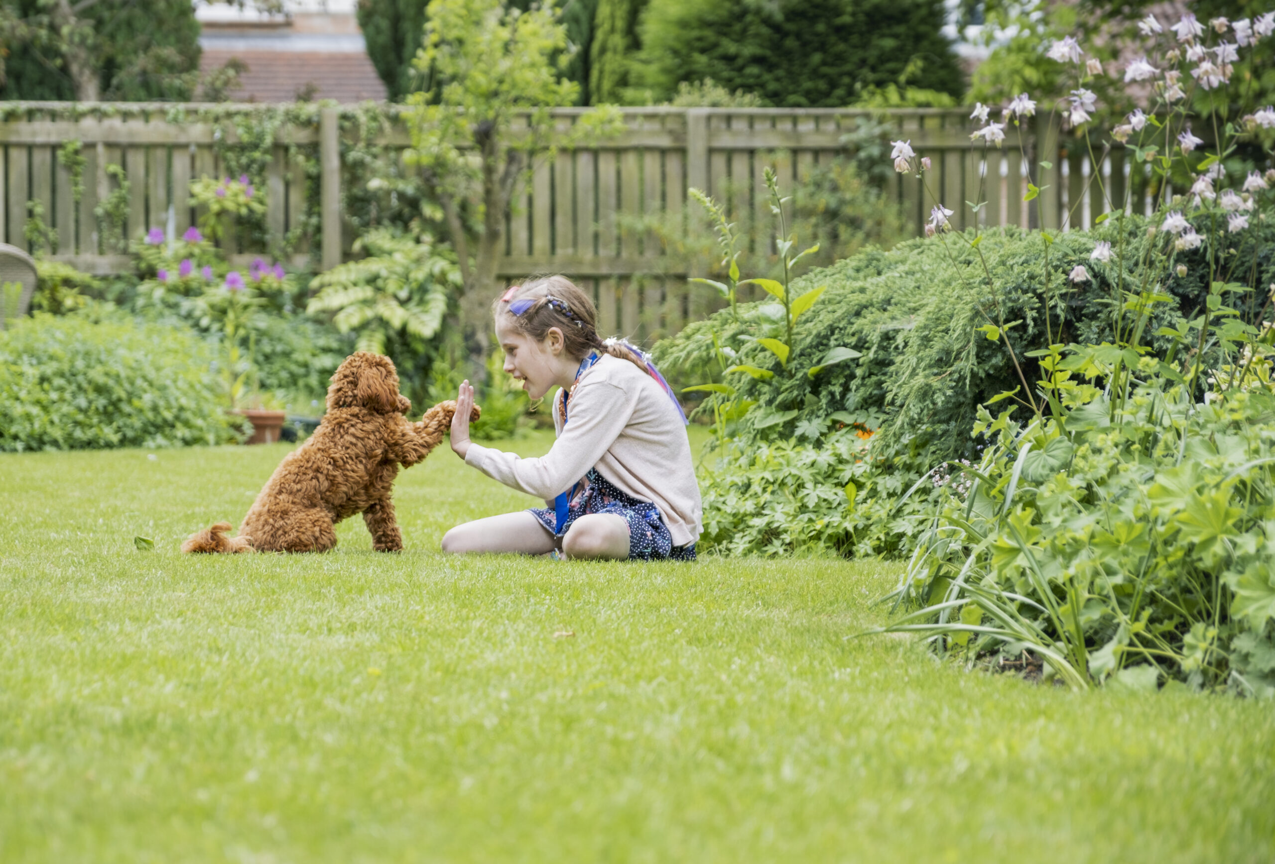 A little girl and her dog